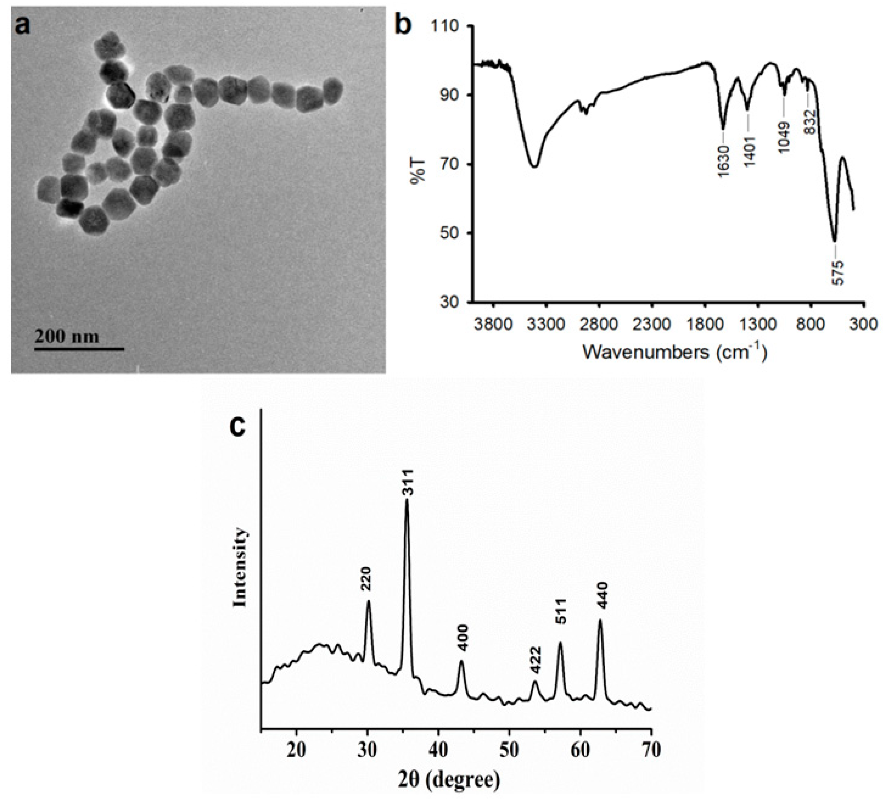 Catalysts 10 00600 g003