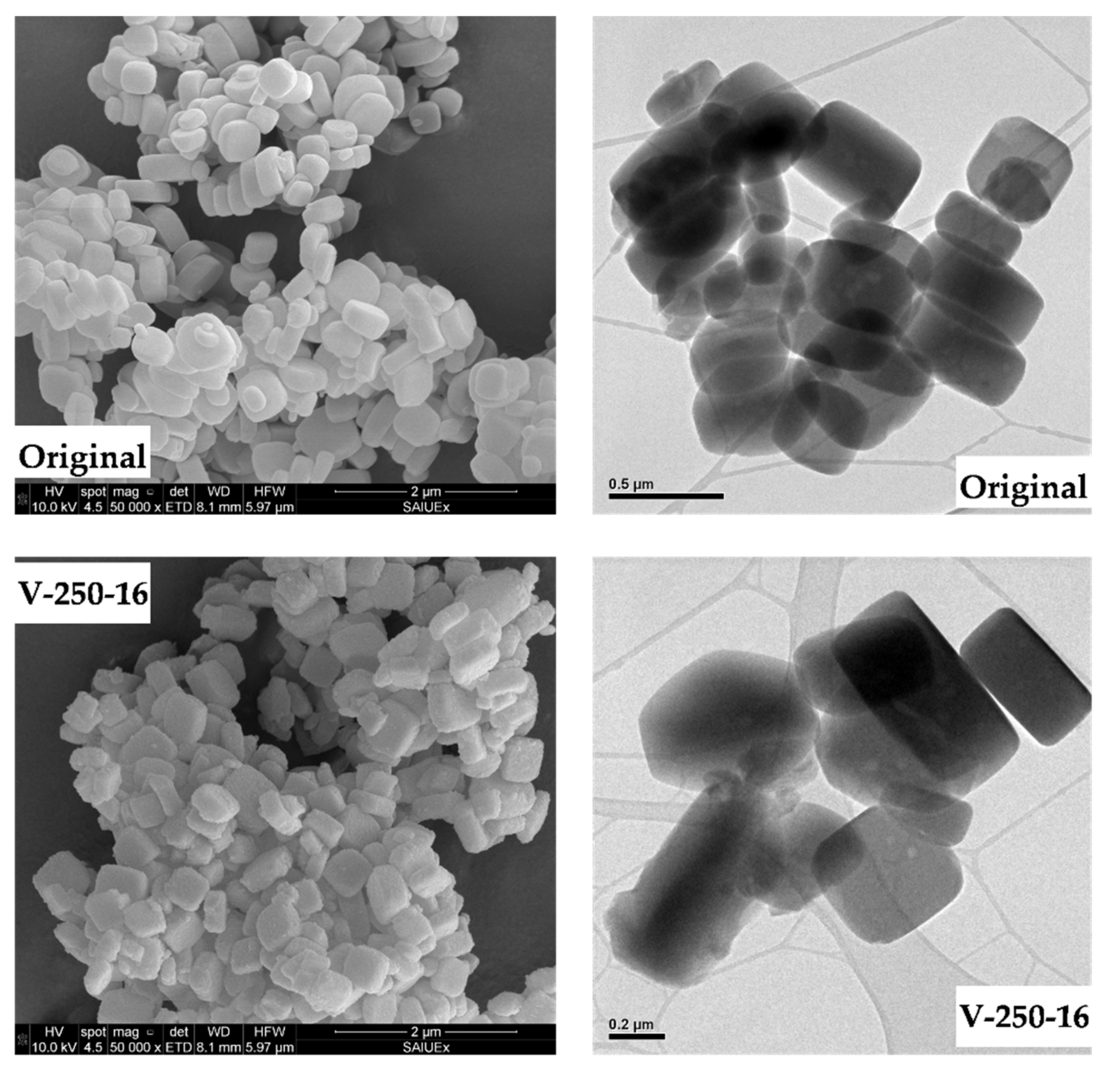 Catalysts 10 00603 g003 Catalysts 10 00603 g003