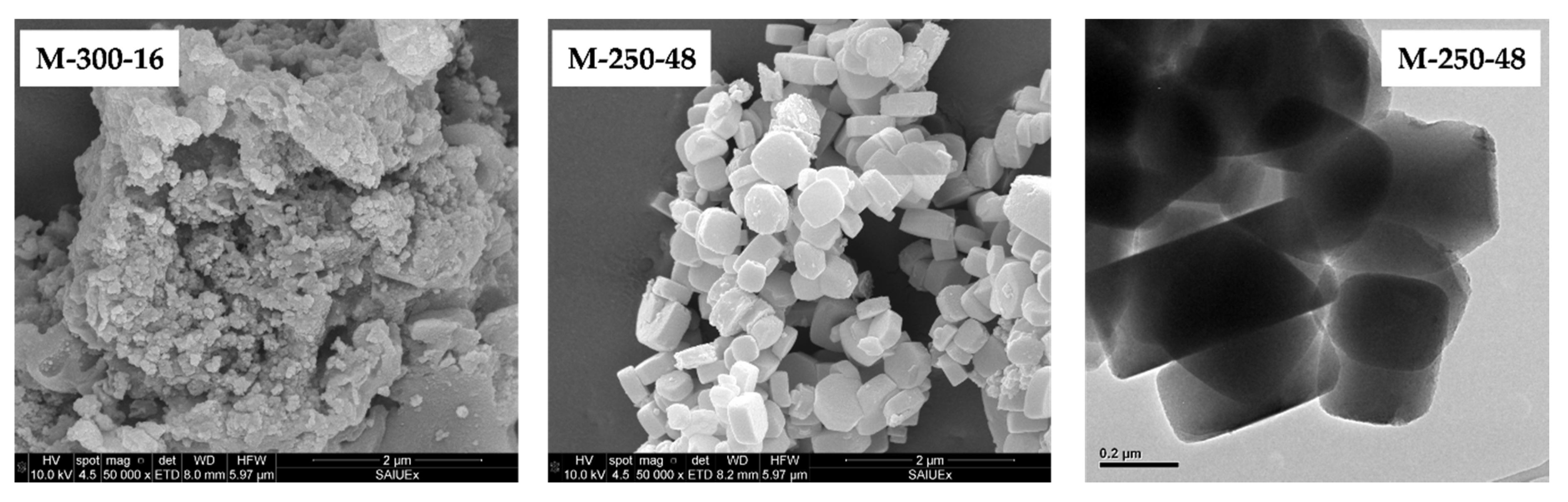 Catalysts 10 00603 g008 Catalysts 10 00603 g008