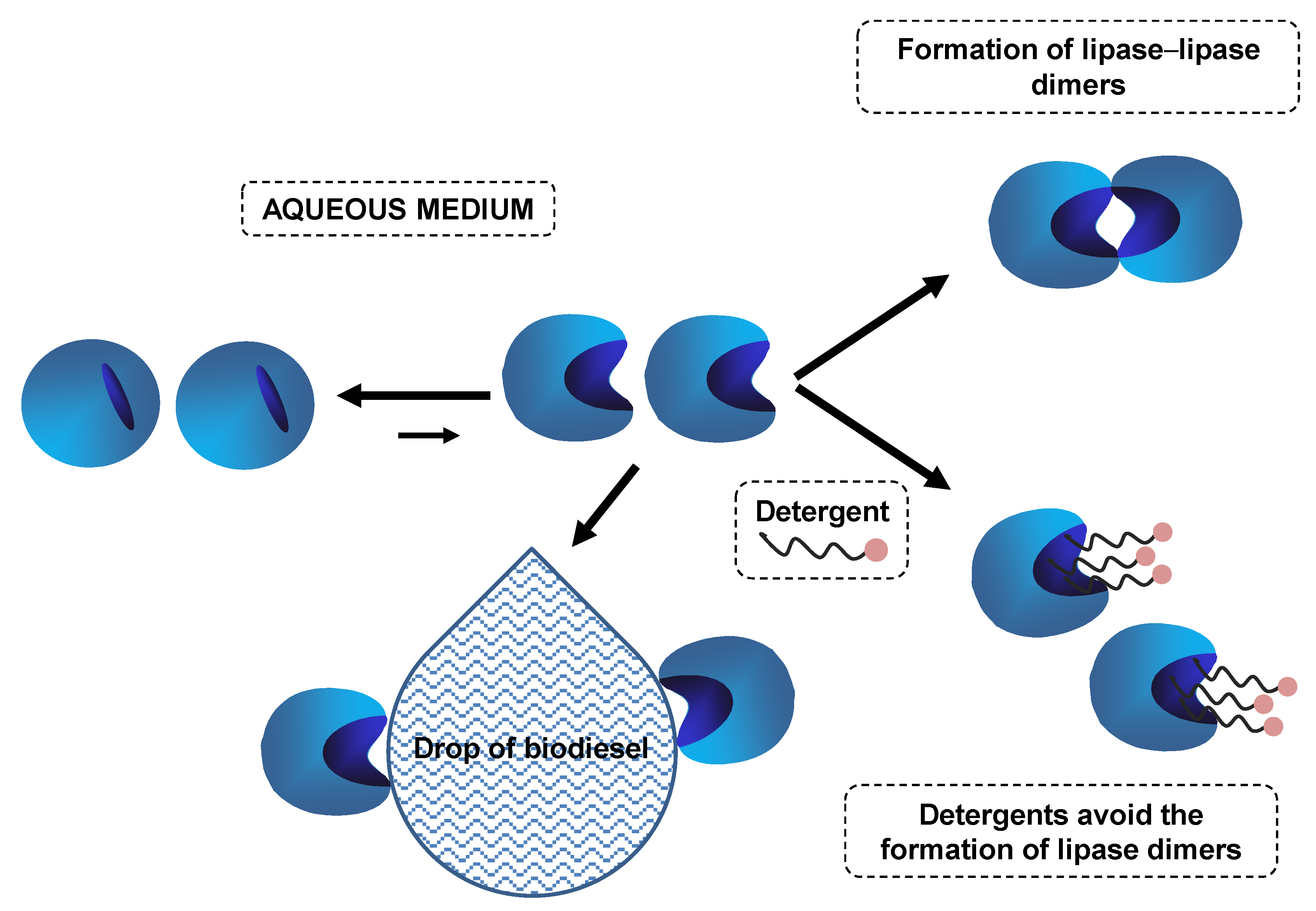 Catalysts 10 00605 g015 Catalysts 10 00605 g015