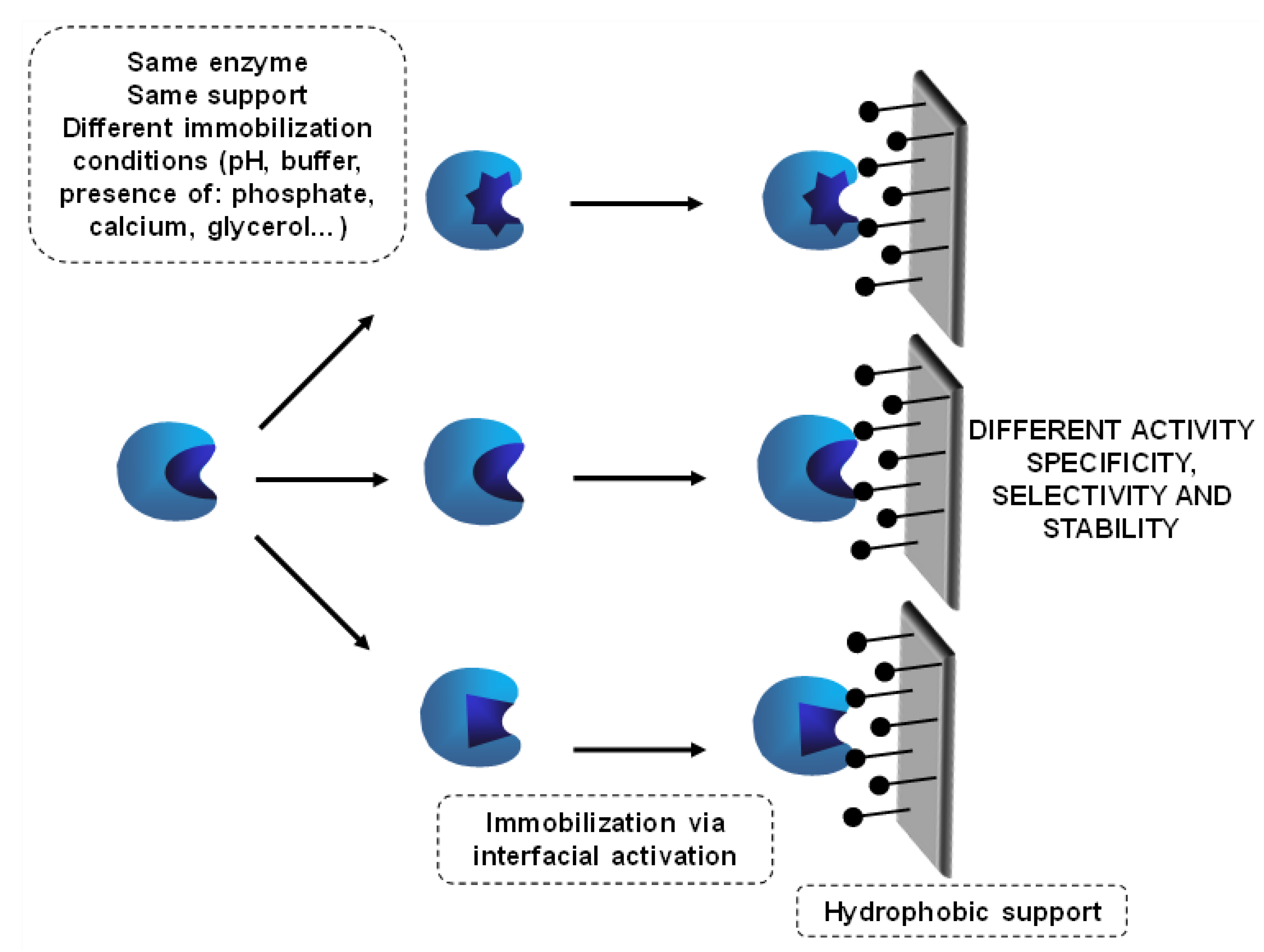 Catalysts 10 00605 g019 Catalysts 10 00605 g019