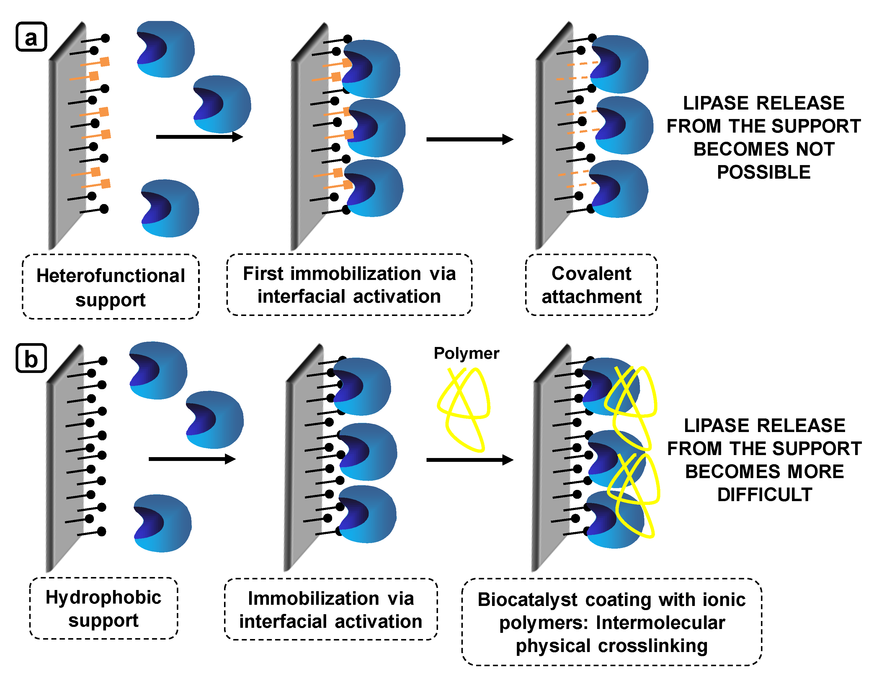 Catalysts 10 00605 g020 Catalysts 10 00605 g020