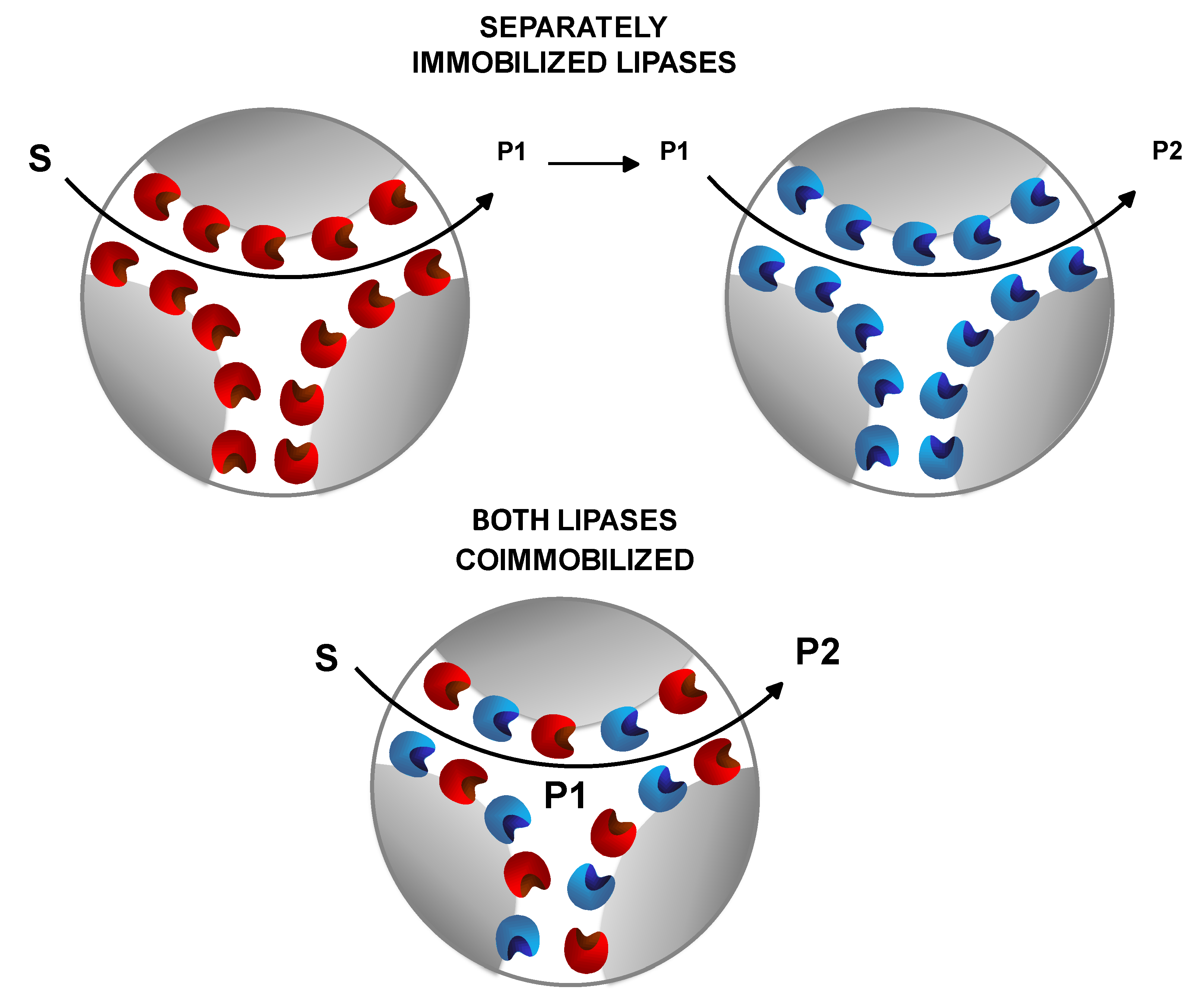 Catalysts 10 00605 g022 Catalysts 10 00605 g022