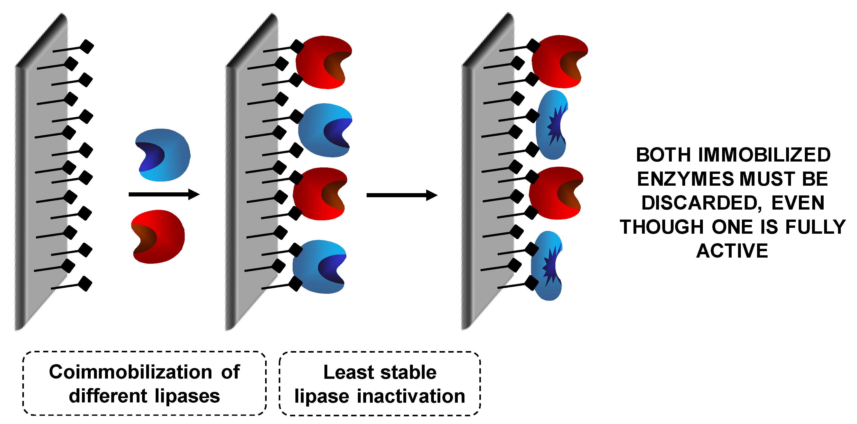 Catalysts 10 00605 g024 Catalysts 10 00605 g024