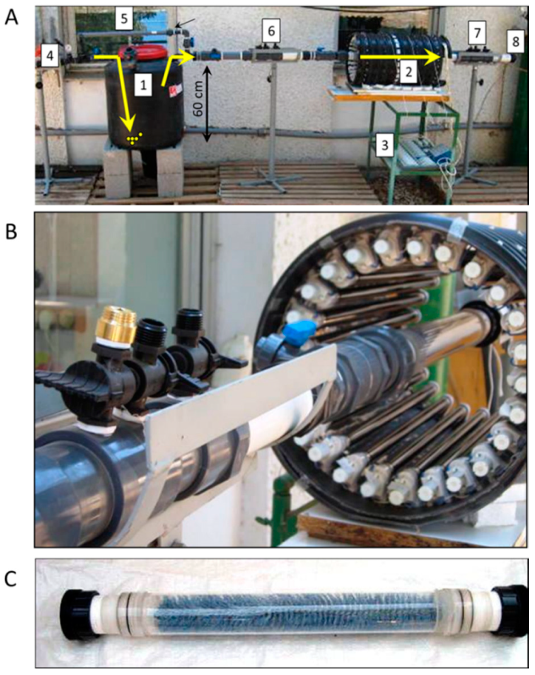 Catalysts 10 00607 g007 Catalysts 10 00607 g007