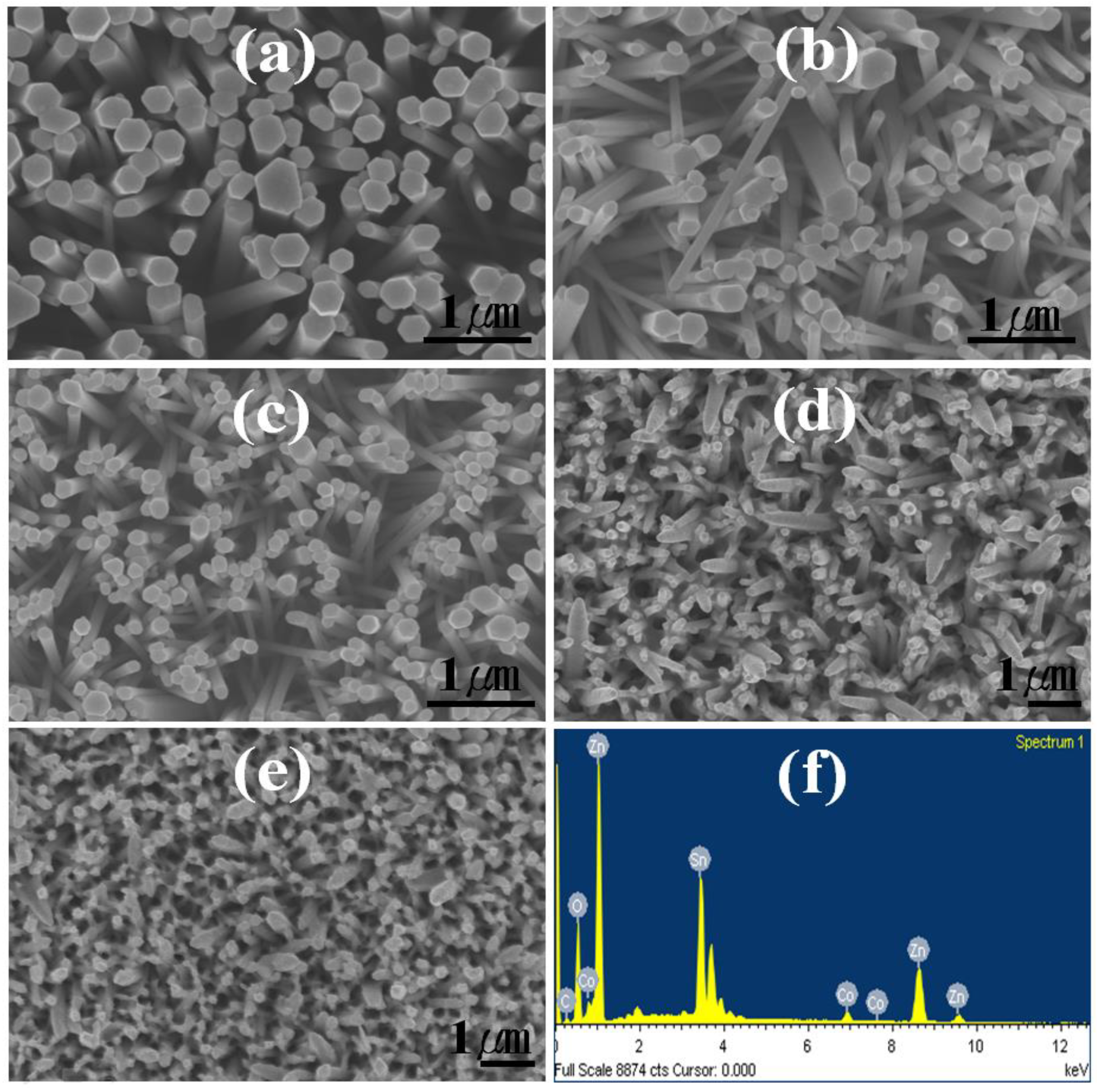 Catalysts 10 00614 g001