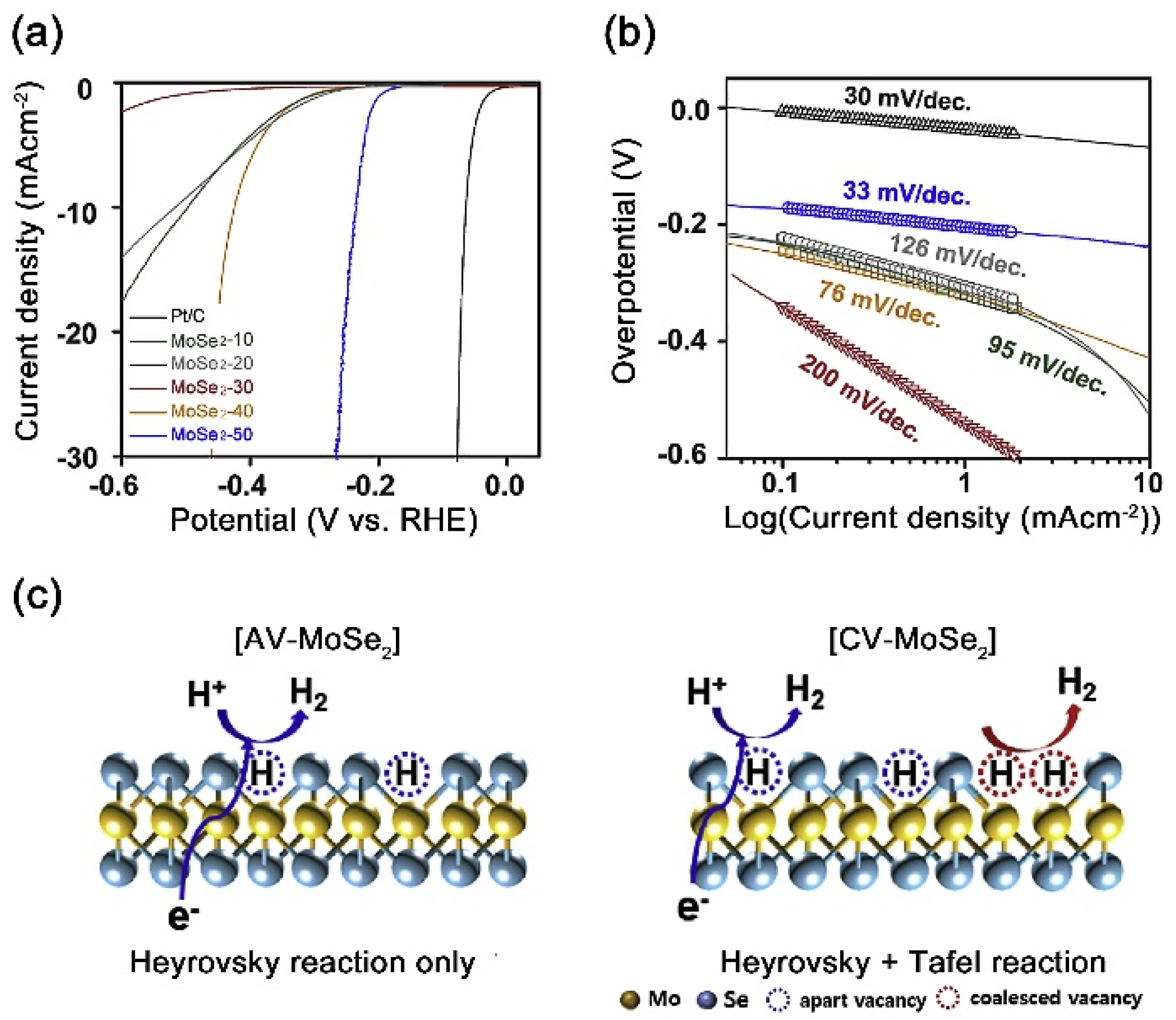 Catalysts 10 00621 g002