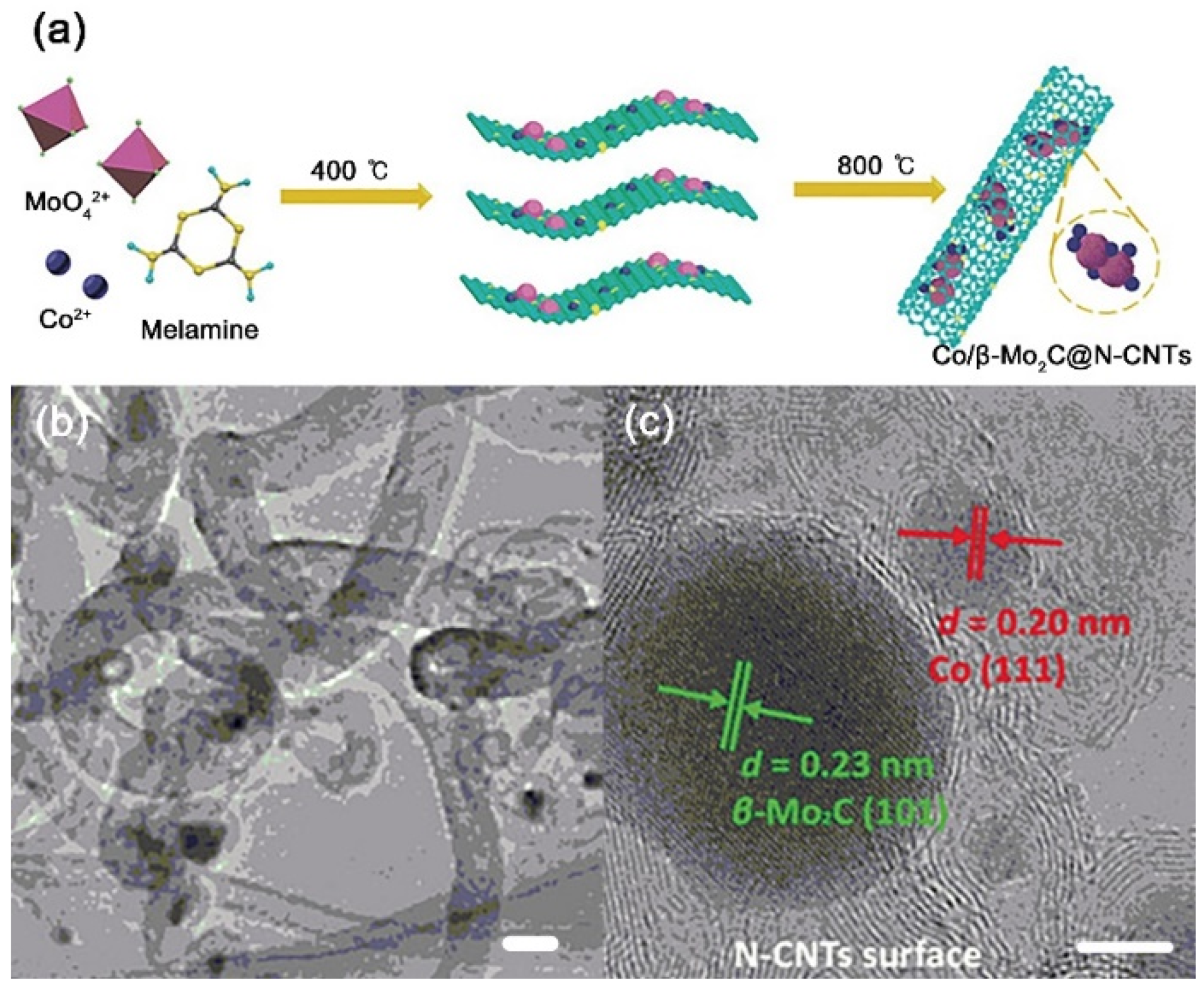 Catalysts 10 00621 g016