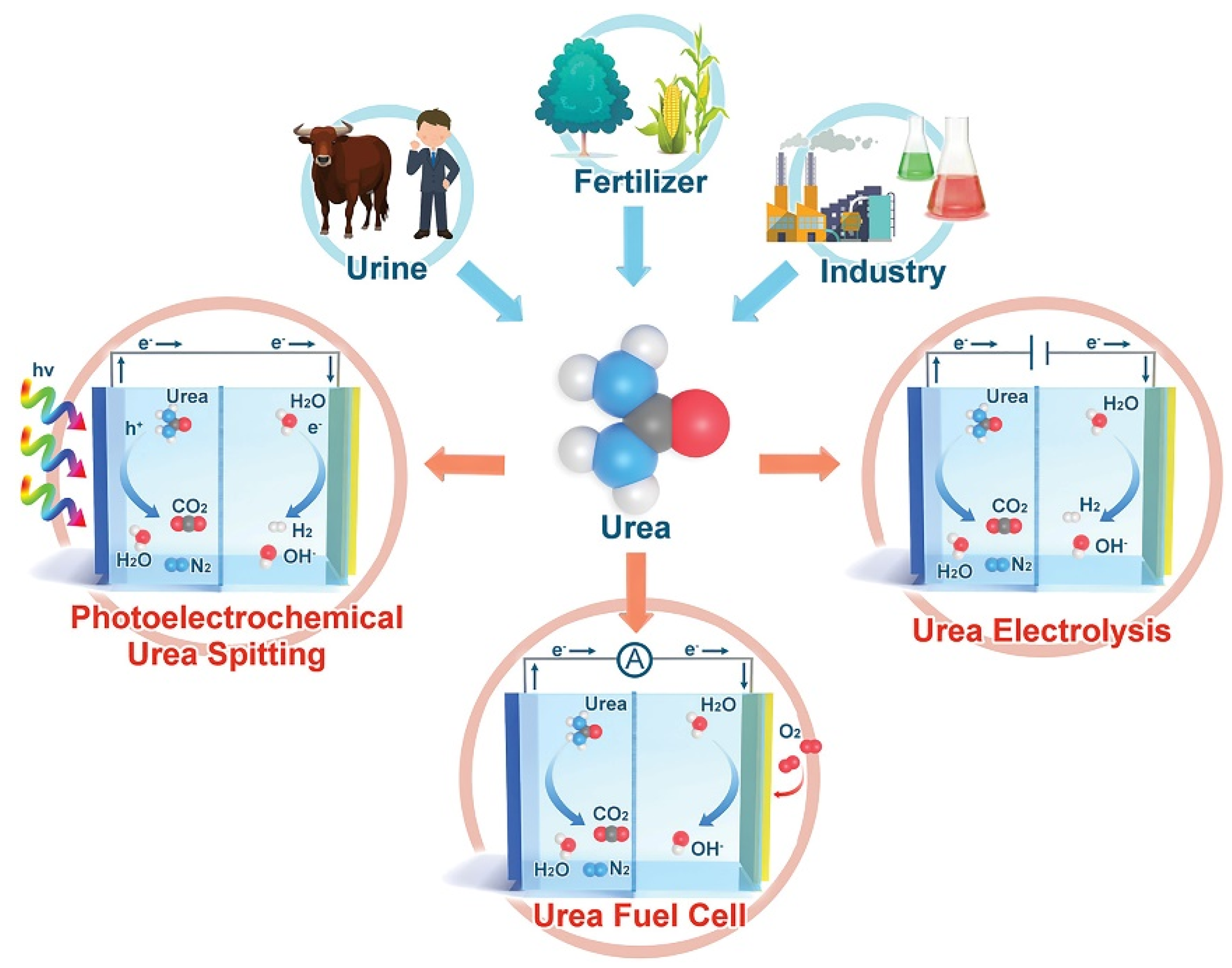 Catalysts 10 00621 sch005