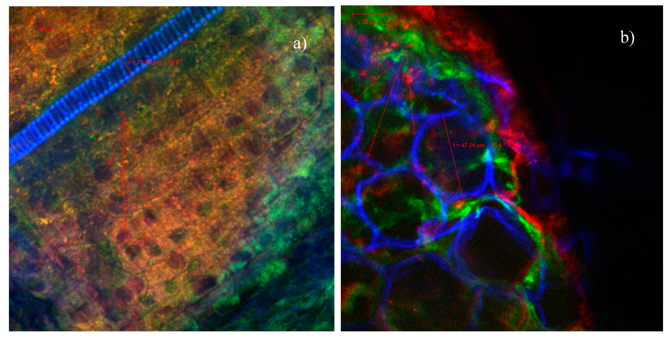 Catalysts 10 00629 g007 Catalysts 10 00629 g007