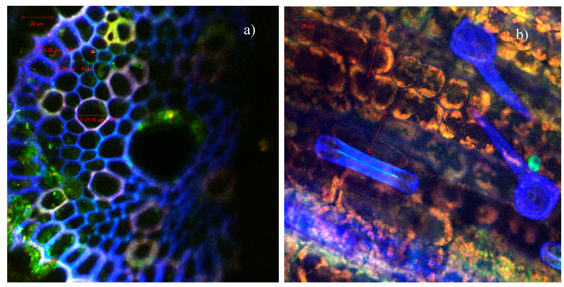 Catalysts 10 00629 g008 Catalysts 10 00629 g008