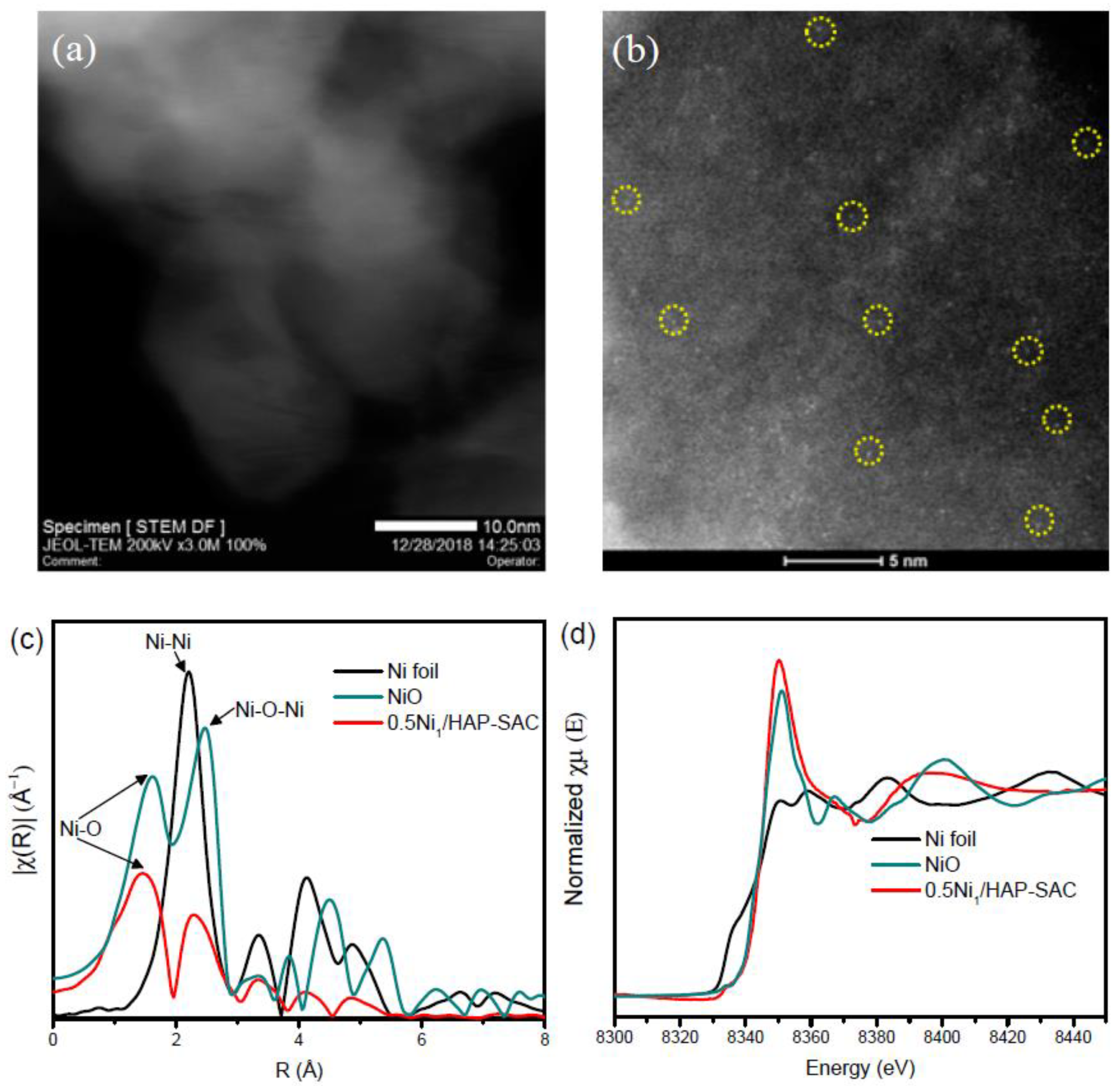 Catalysts 10 00630 g005 Catalysts 10 00630 g005