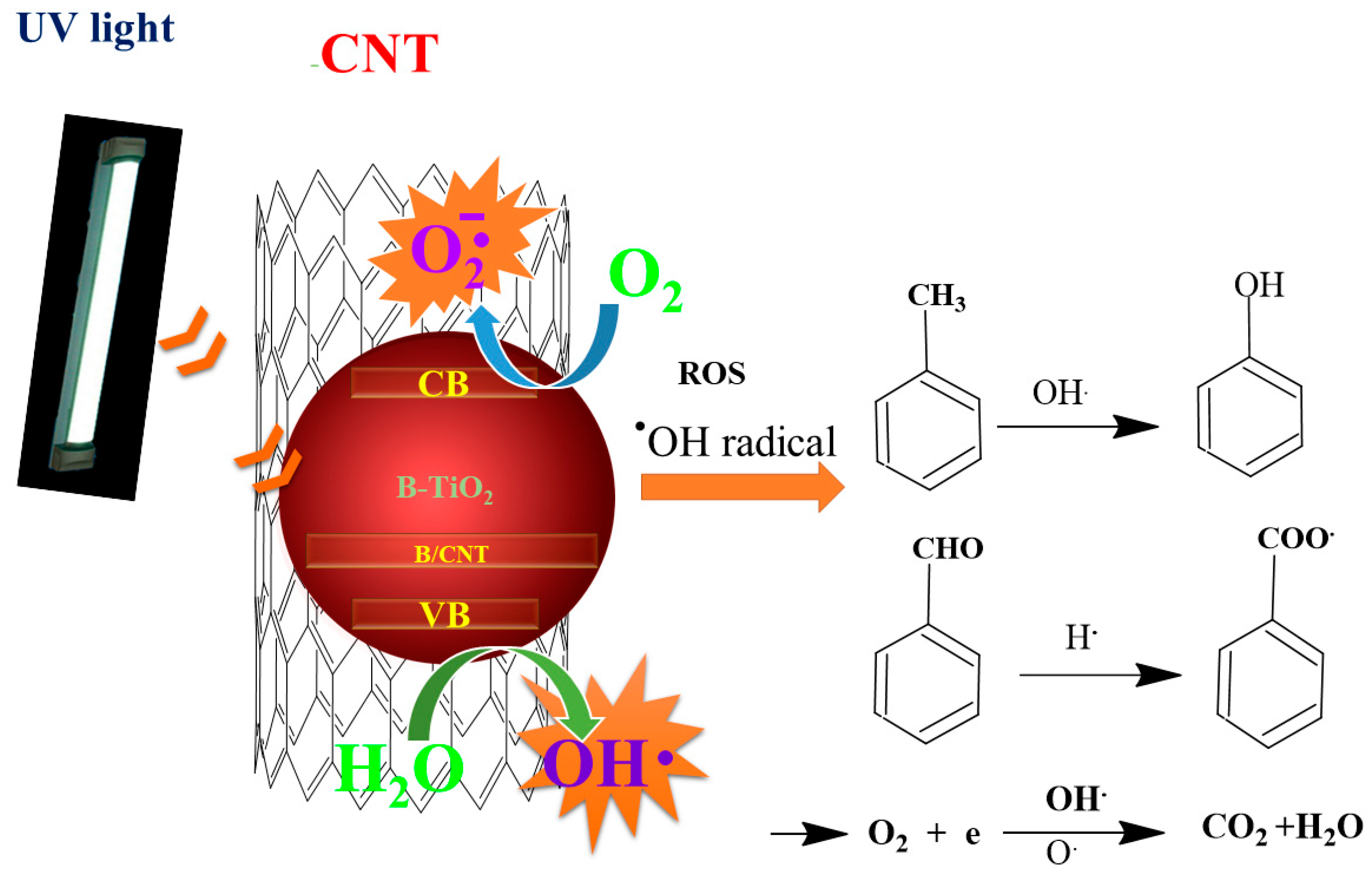 Catalysts 10 00632 g008 Catalysts 10 00632 g008