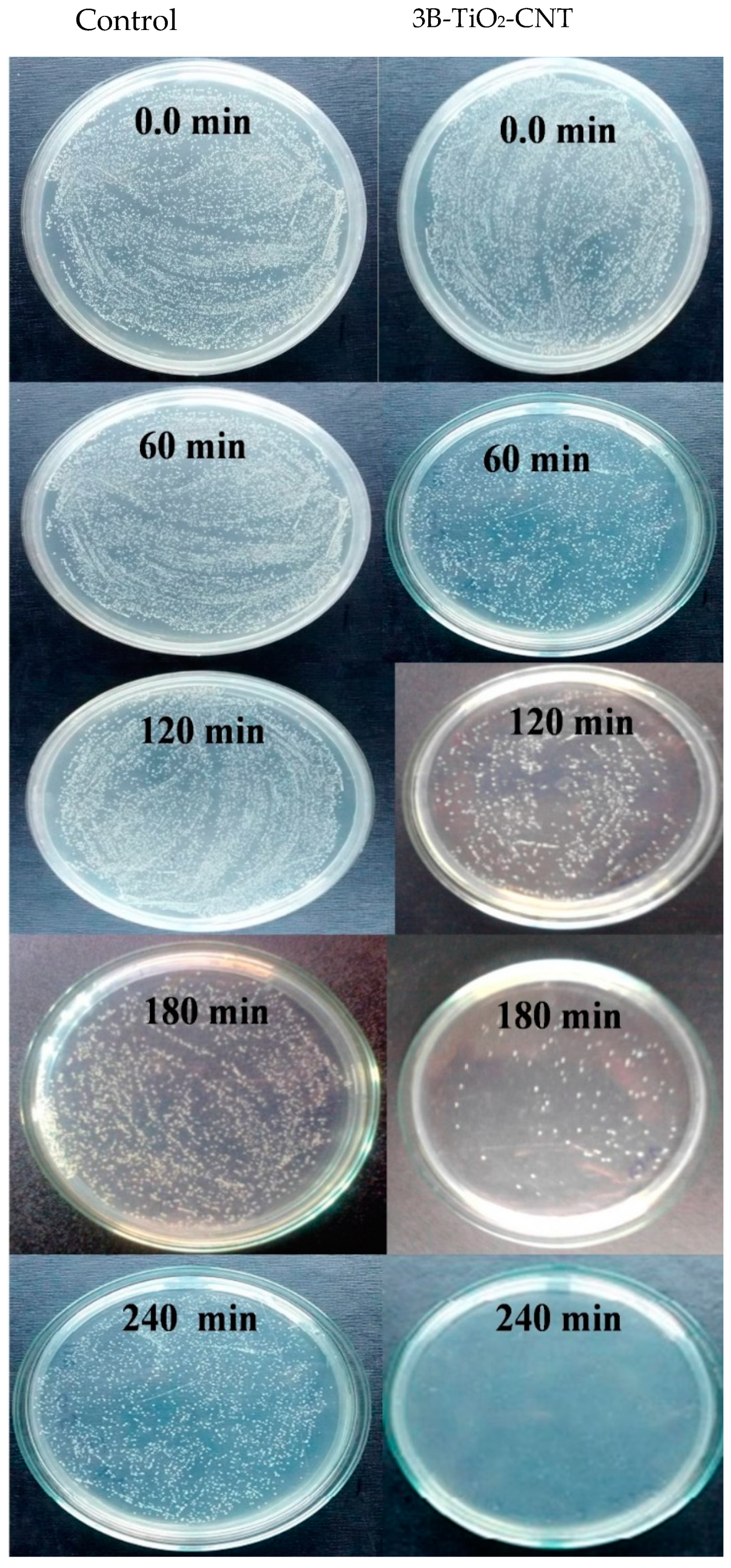 Catalysts 10 00632 g011 Catalysts 10 00632 g011