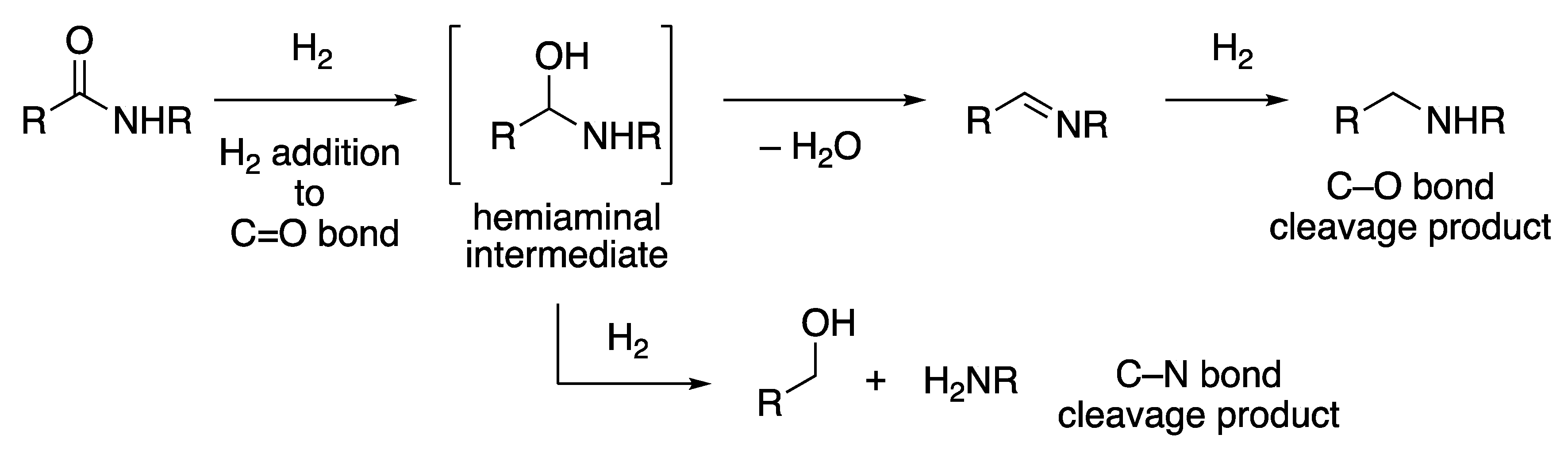 Catalysts 10 00635 sch009