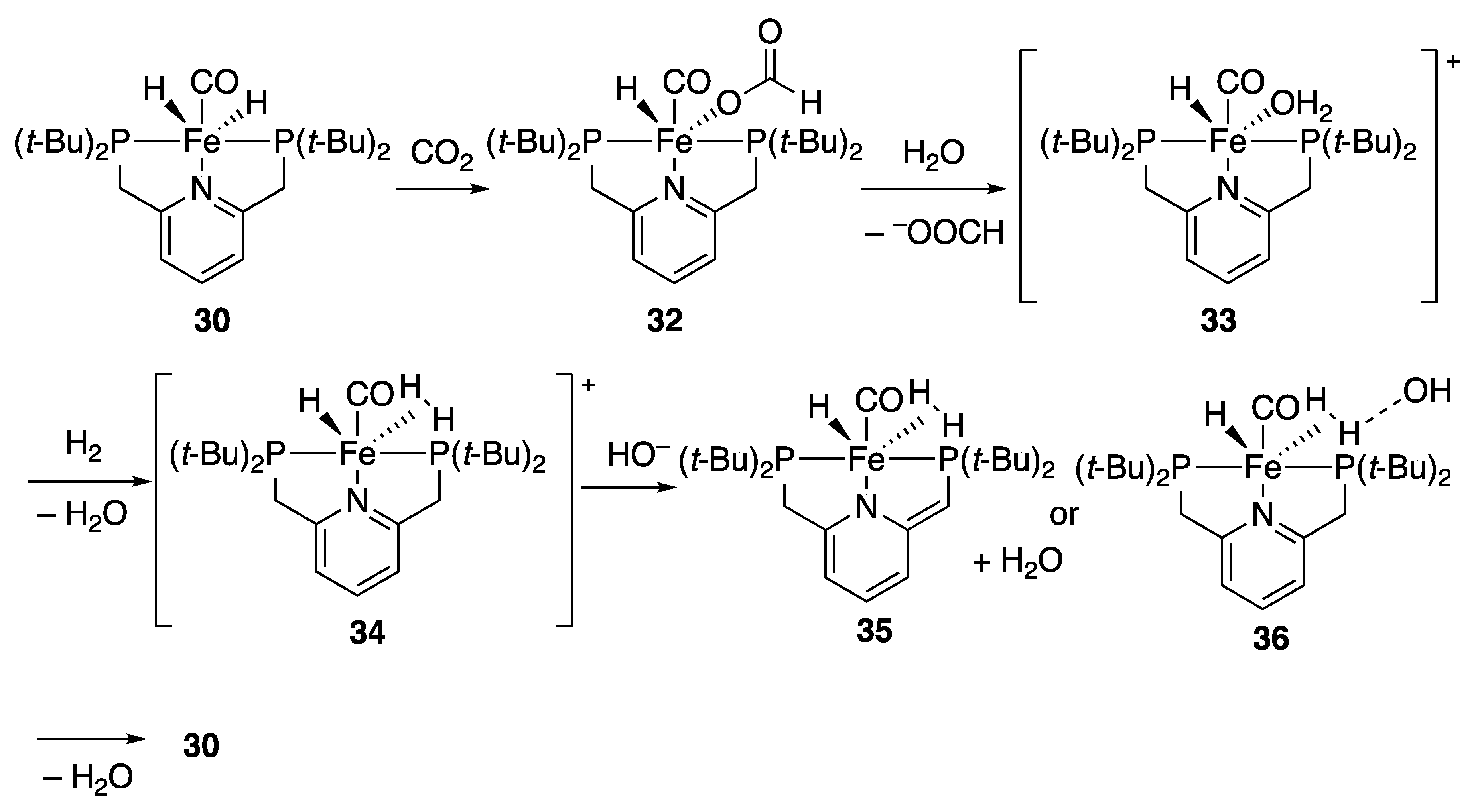 Catalysts 10 00635 sch017
