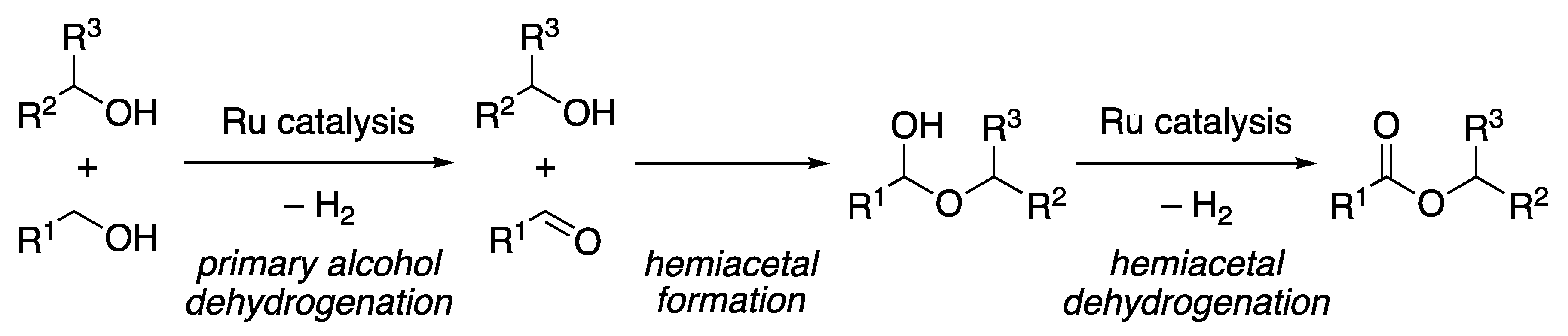 Catalysts 10 00635 sch024
