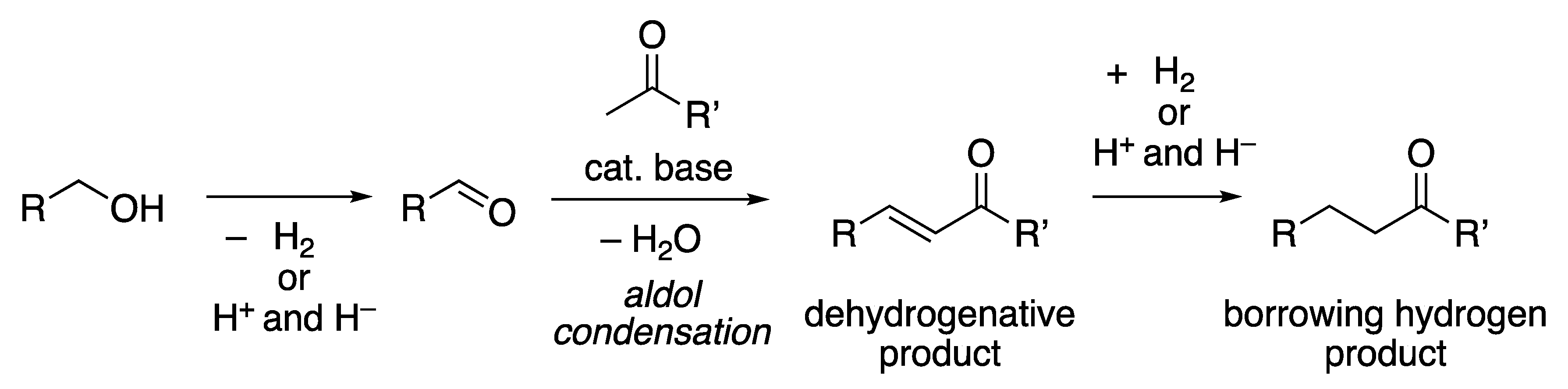 Catalysts 10 00635 sch036