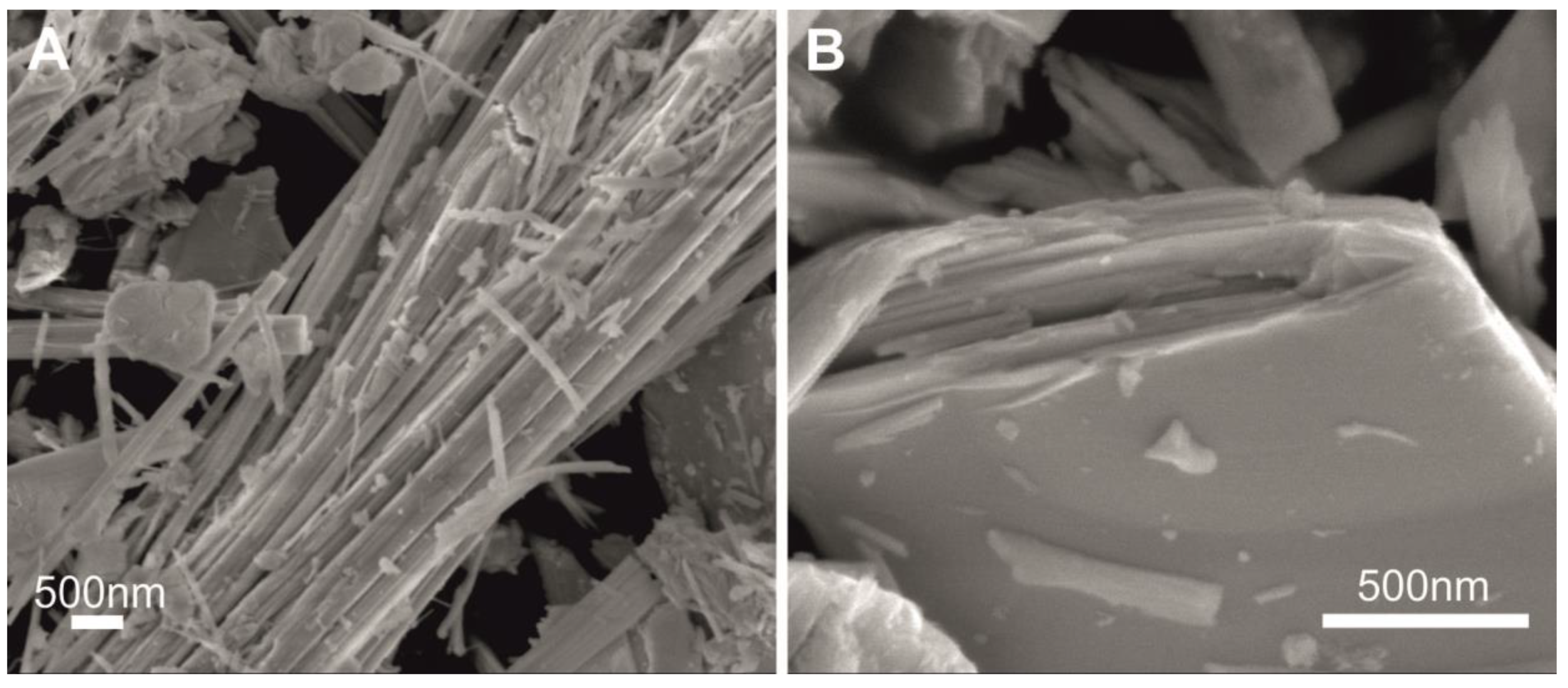 Catalysts 10 00637 g003