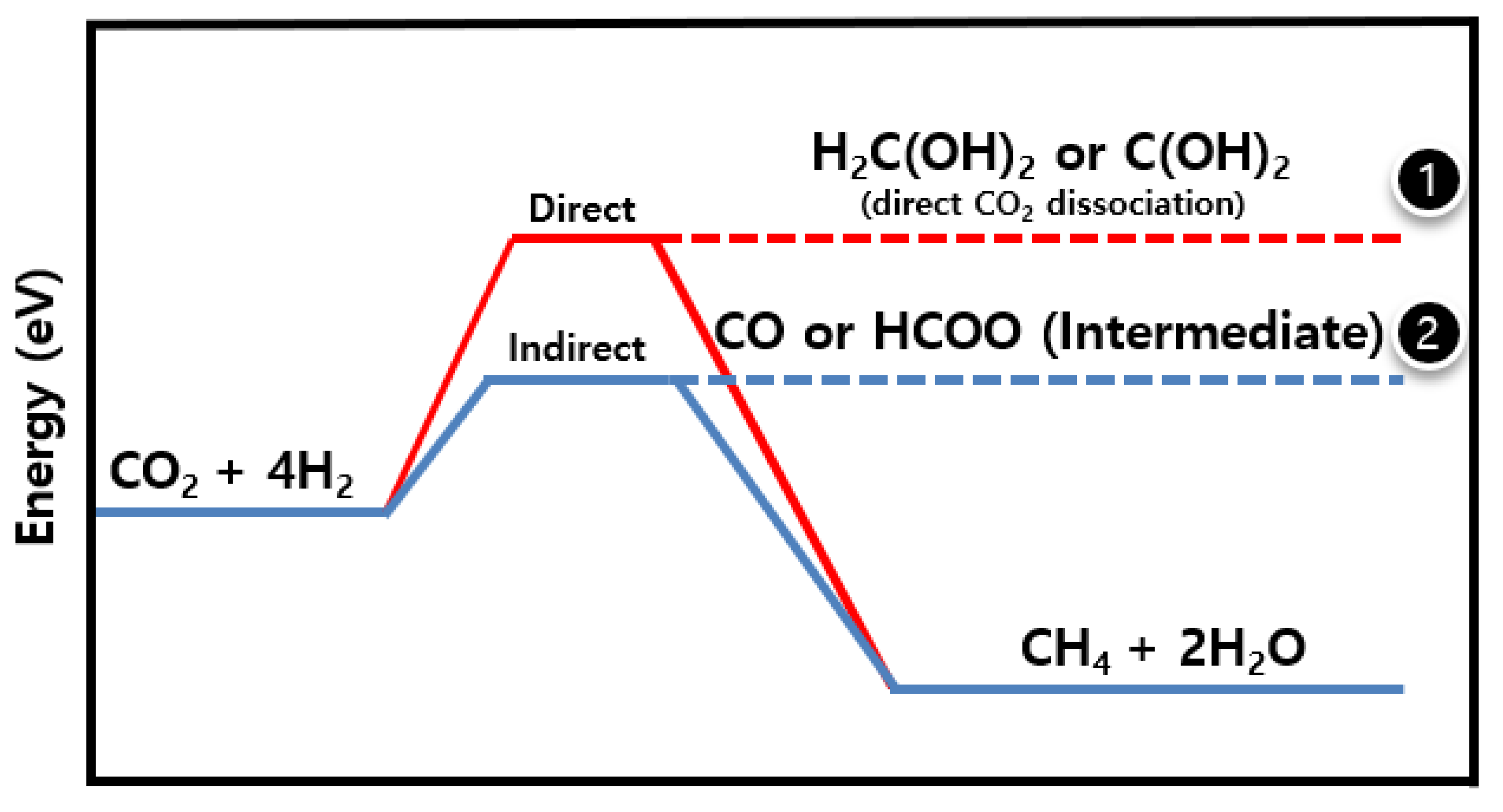 Catalysts 10 00643 g001