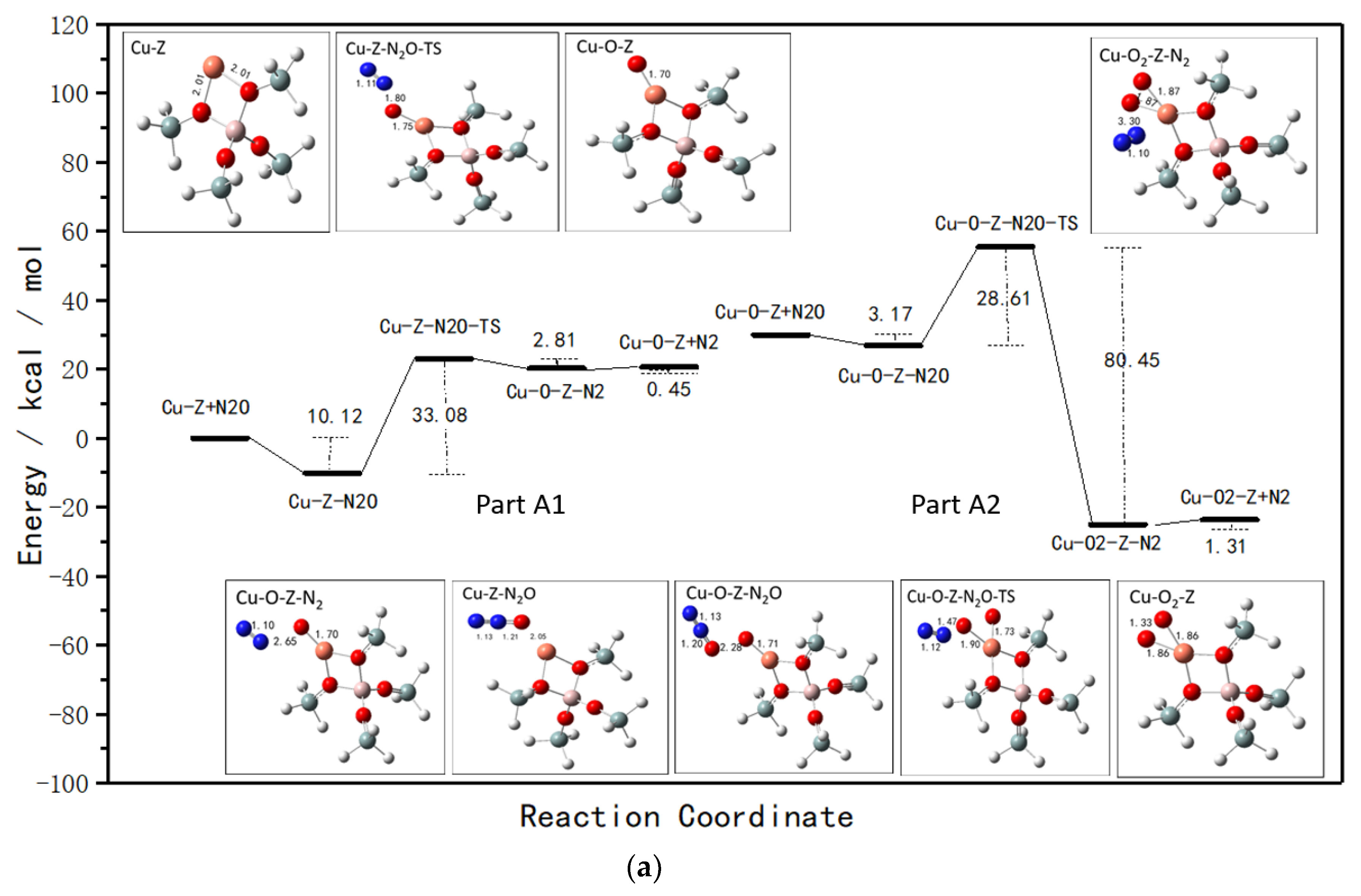 Catalysts 10 00646 g002a