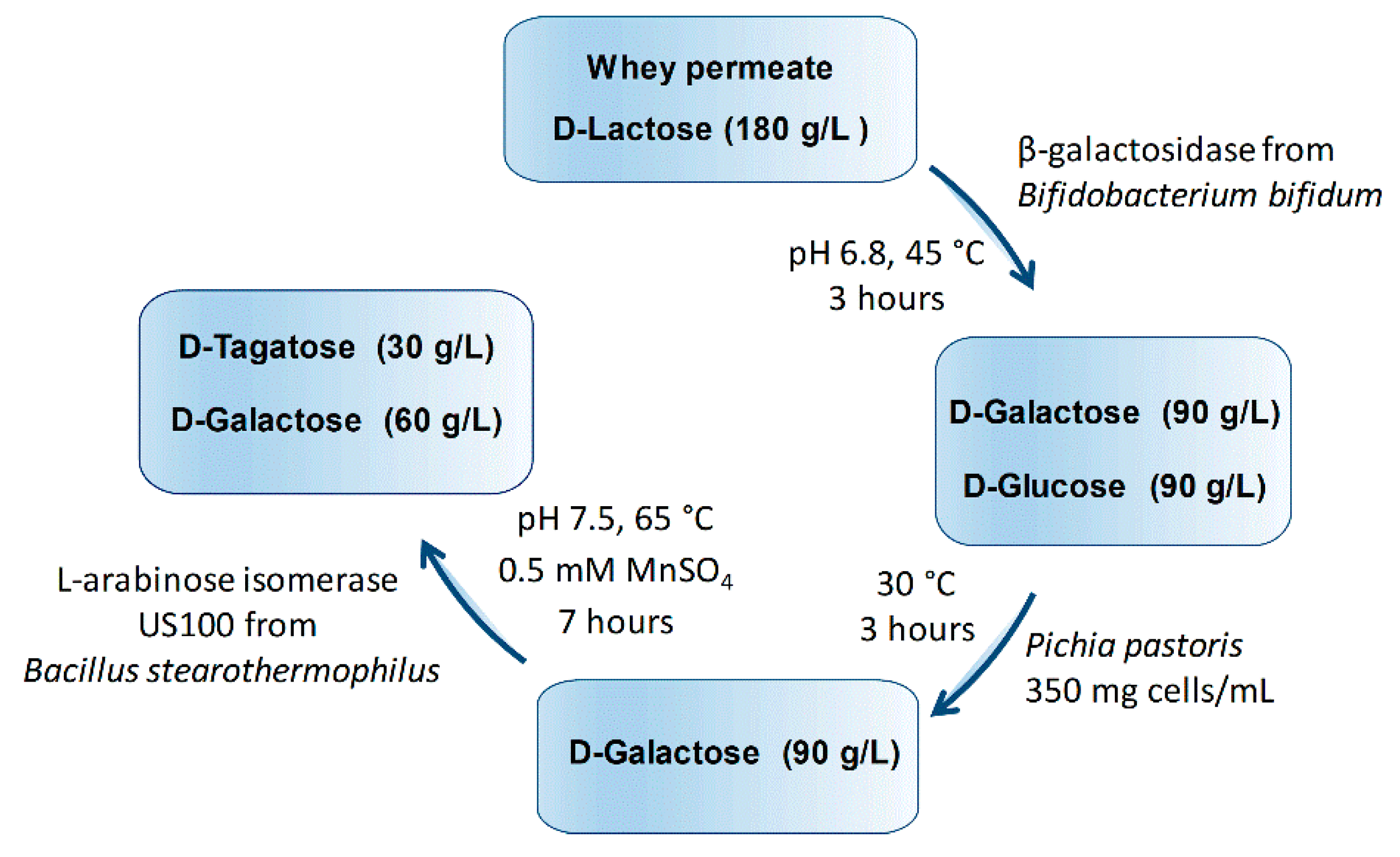 Catalysts 10 00647 g008