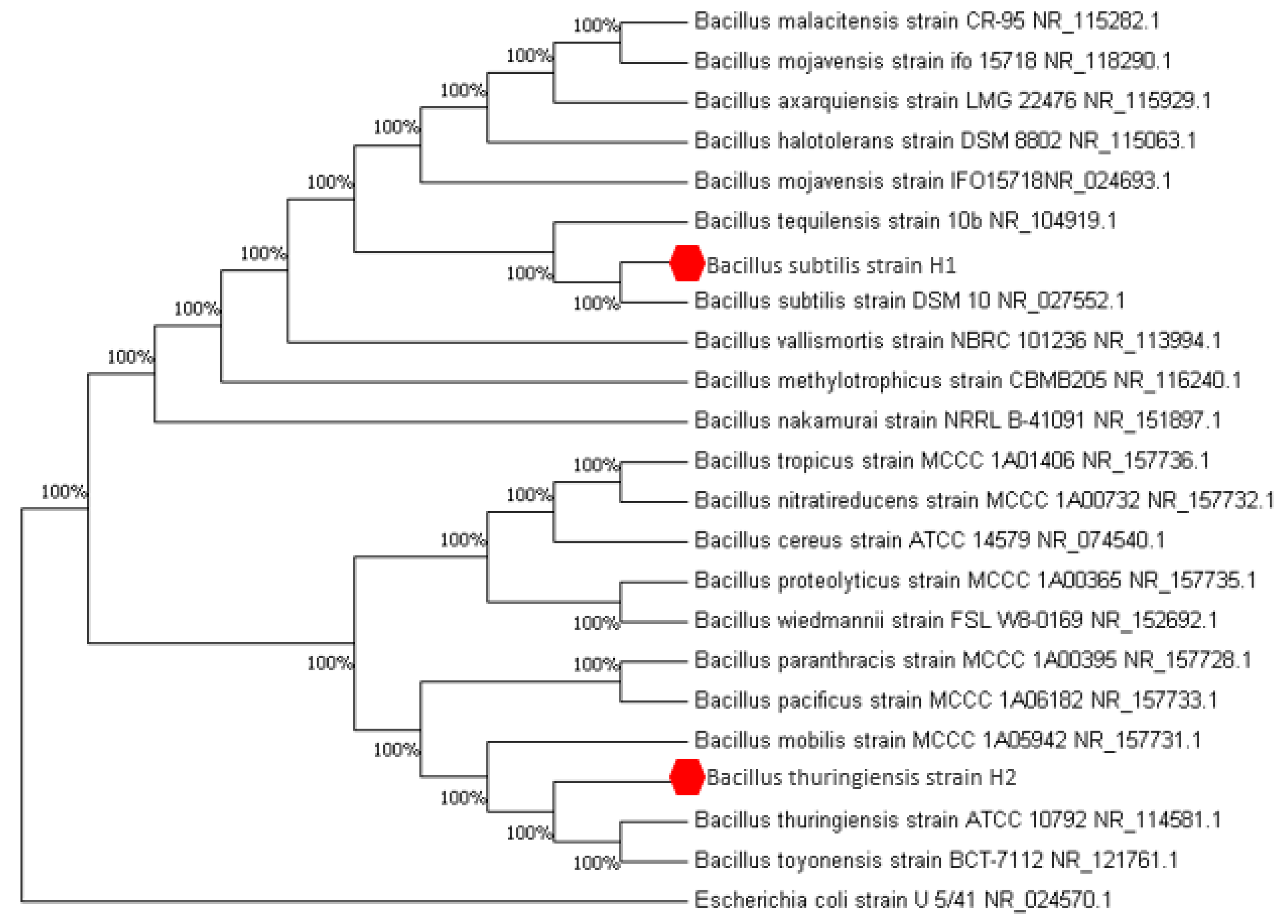 Catalysts 10 00651 g001 Catalysts 10 00651 g001