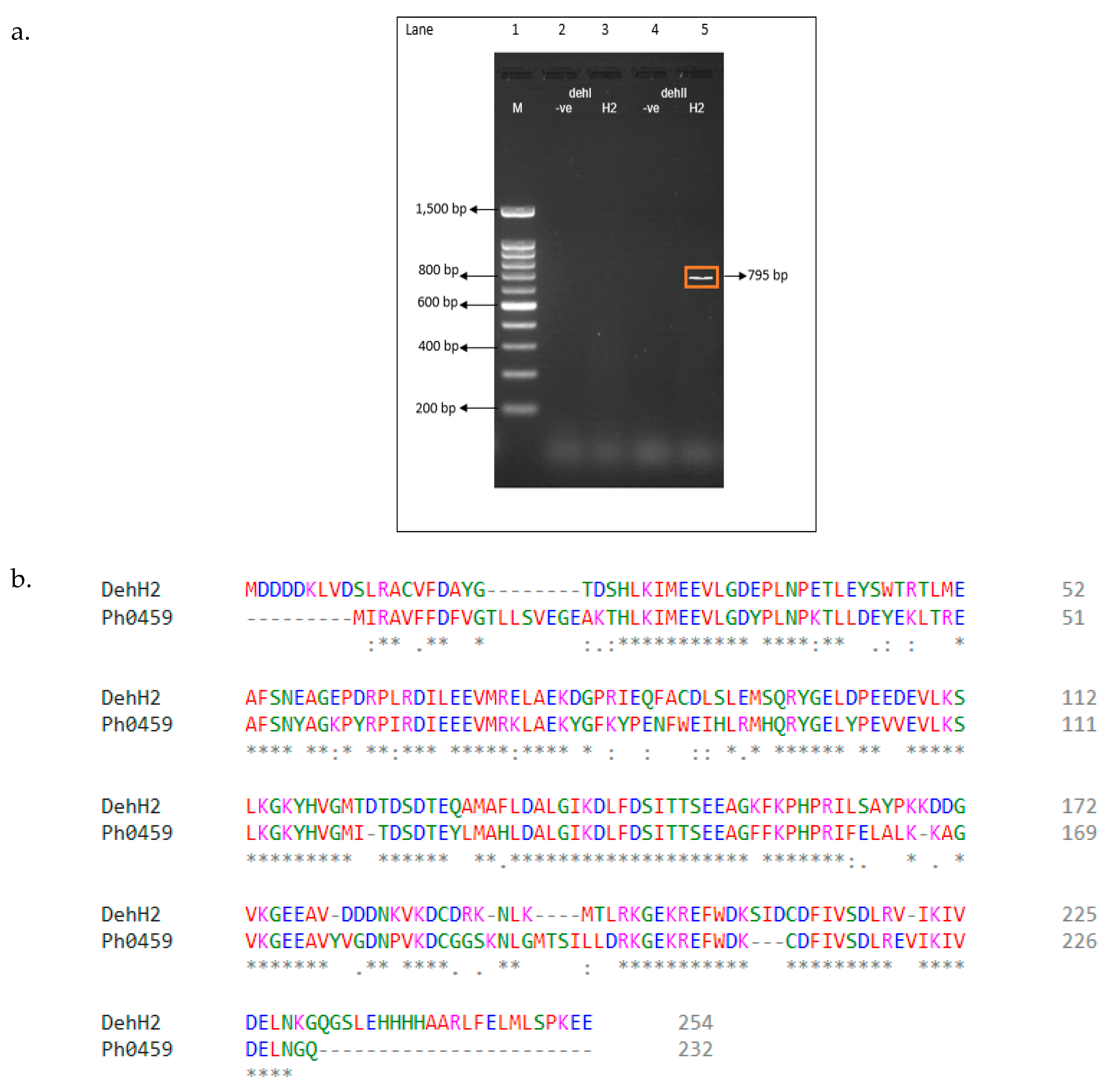 Catalysts 10 00651 g006 Catalysts 10 00651 g006