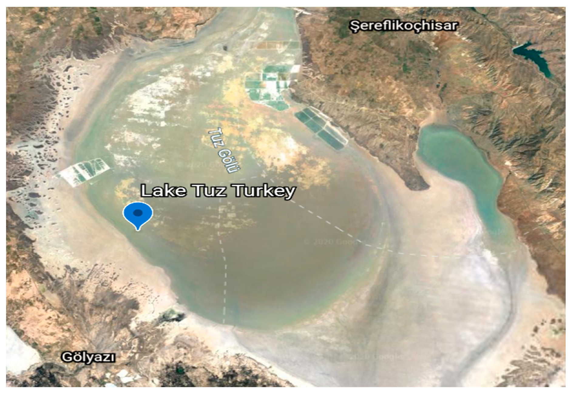 Catalysts 10 00651 g007 Catalysts 10 00651 g007