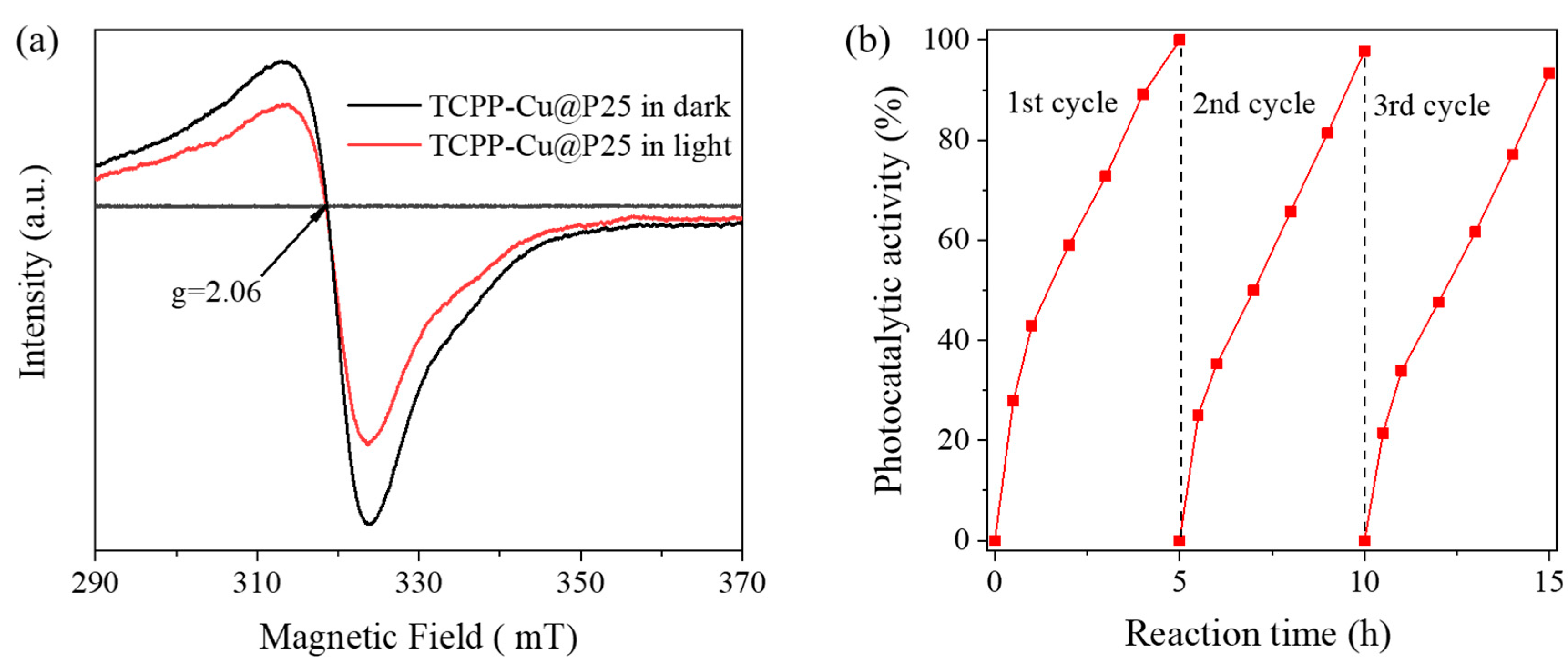 Catalysts 10 00654 g004