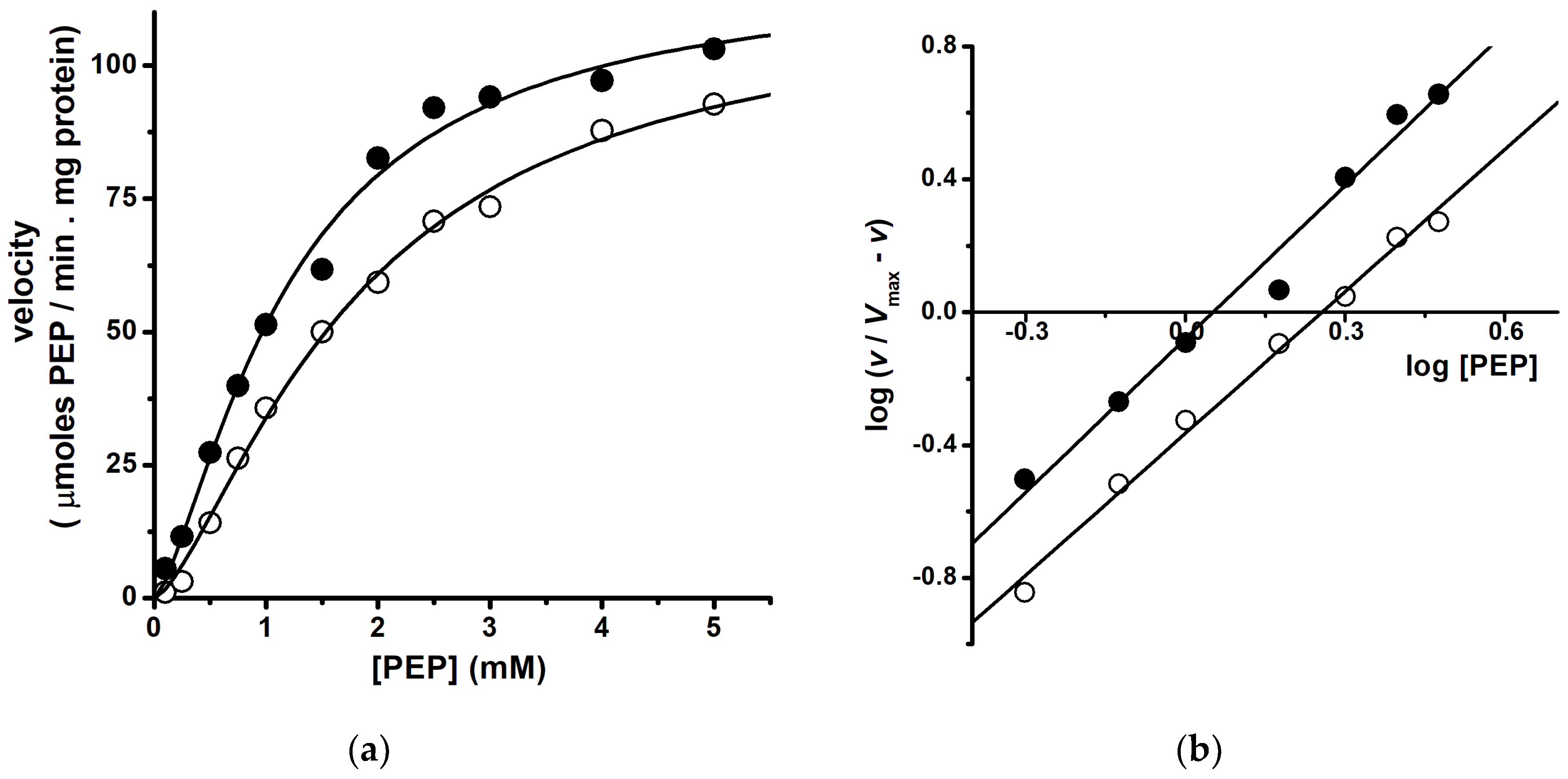 Catalysts 10 00659 g004