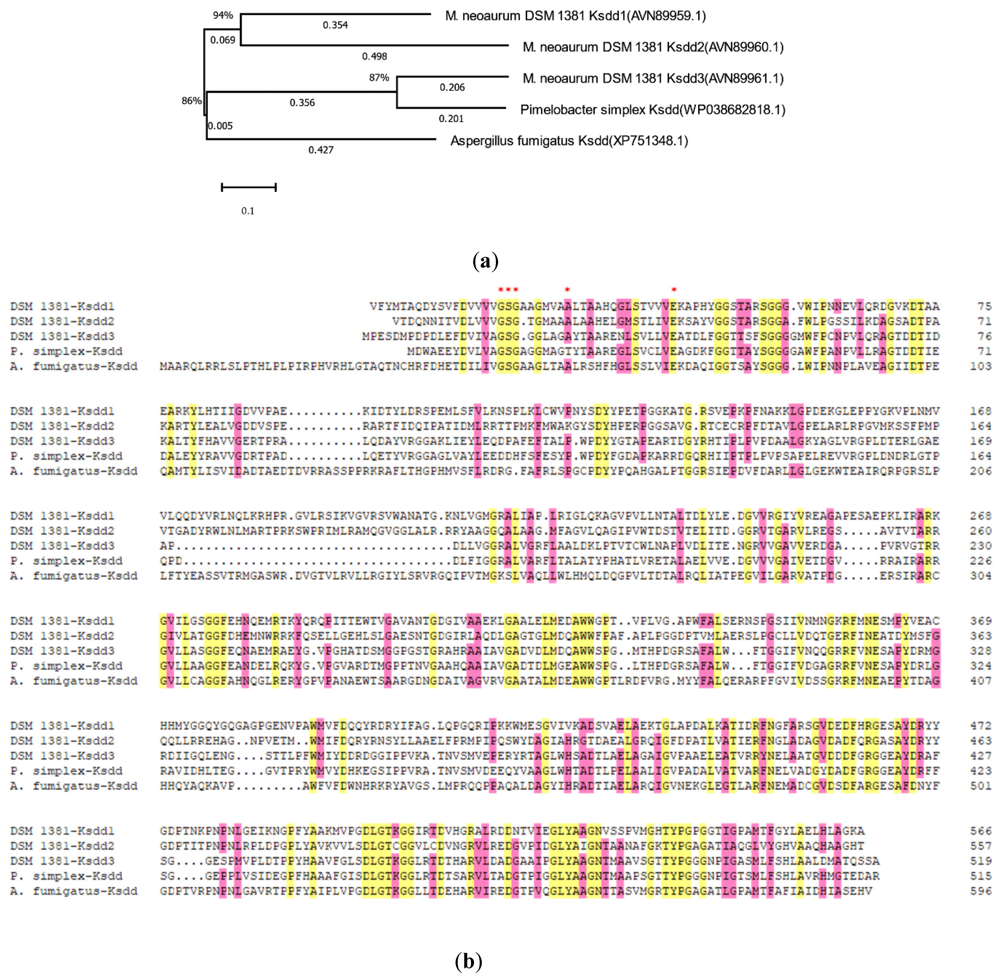 Catalysts 10 00663 g002 Catalysts 10 00663 g002