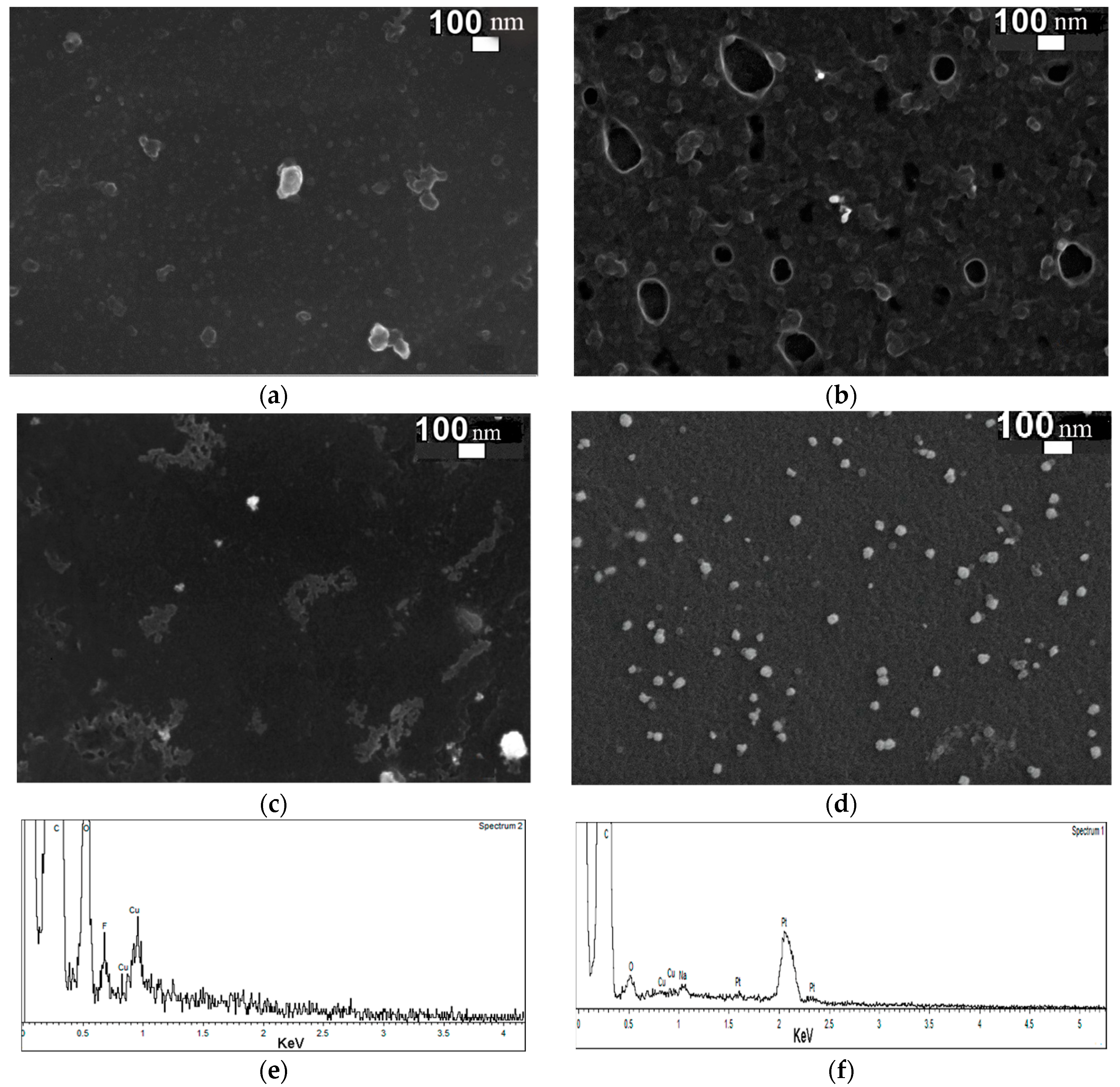Catalysts 10 00667 g003a Catalysts 10 00667 g003a