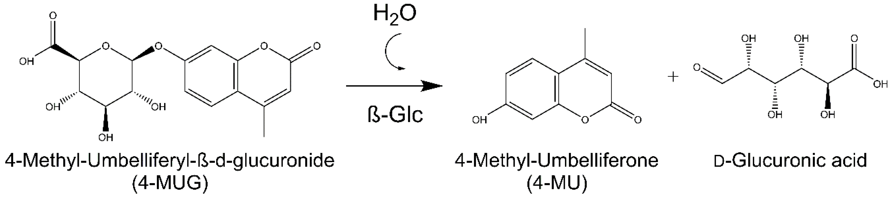 Catalysts 10 00669 sch004