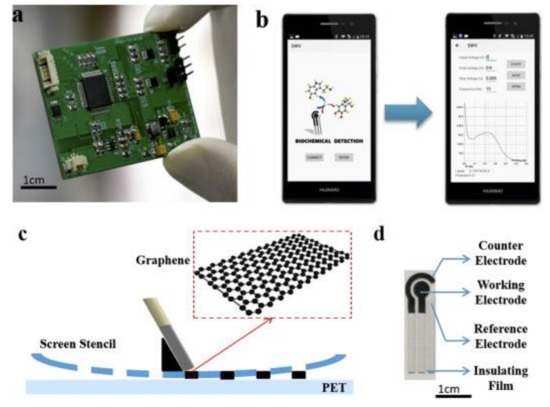 Carbonaceous Nanomaterials Employed in the Development of