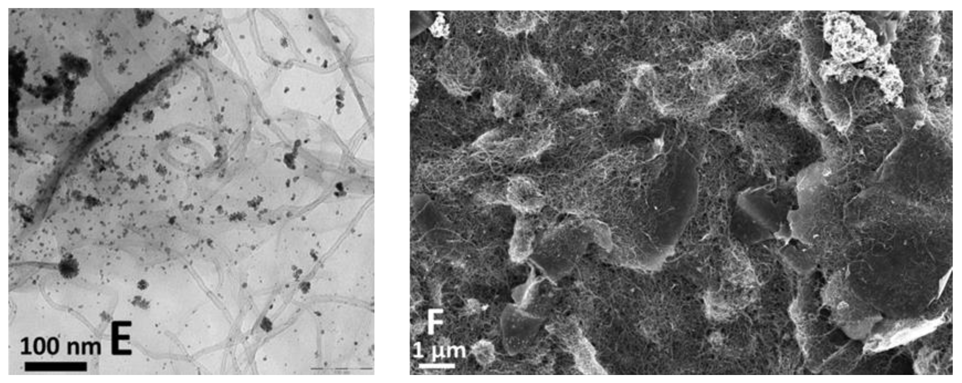 Catalysts 10 00689 g001b