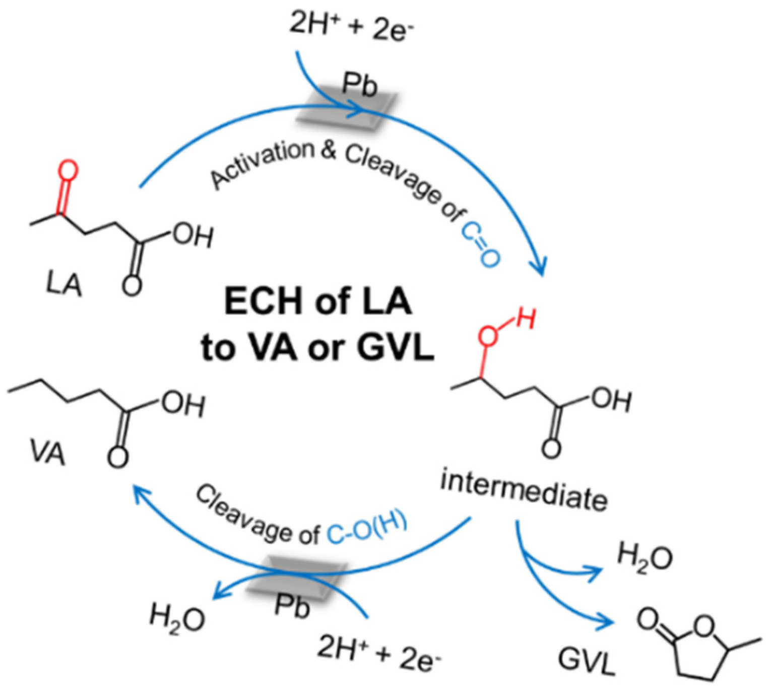 Catalysts 10 00692 g006 Catalysts 10 00692 g006