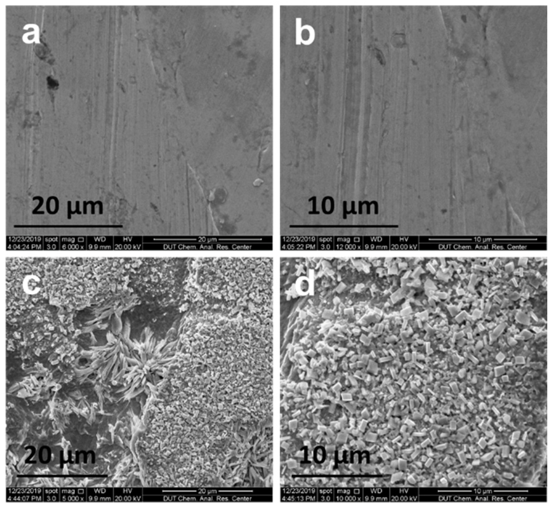 Catalysts 10 00692 g008 Catalysts 10 00692 g008