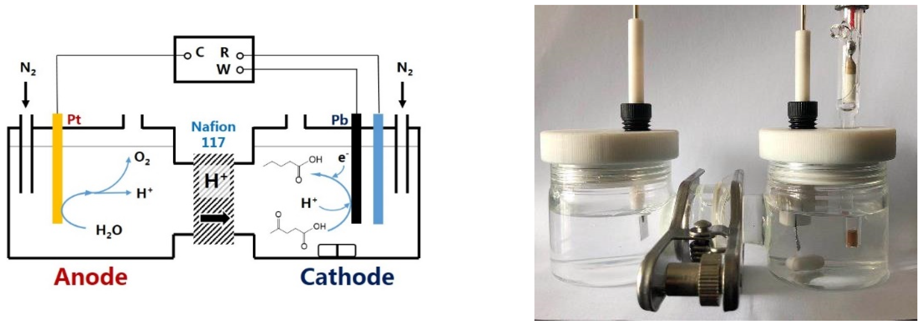 Catalysts 10 00692 g009 Catalysts 10 00692 g009