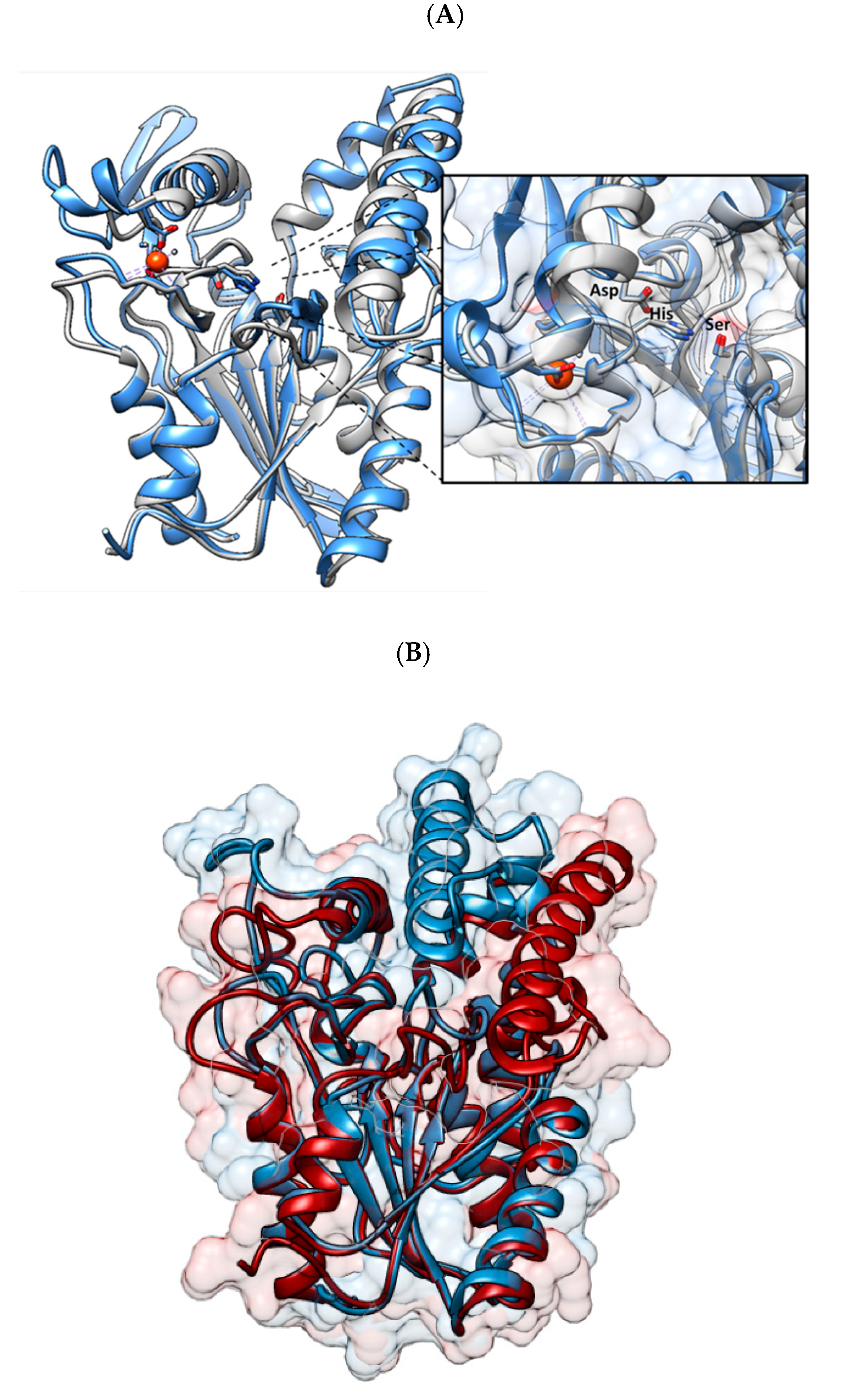 Catalysts 10 00697 g002 Catalysts 10 00697 g002