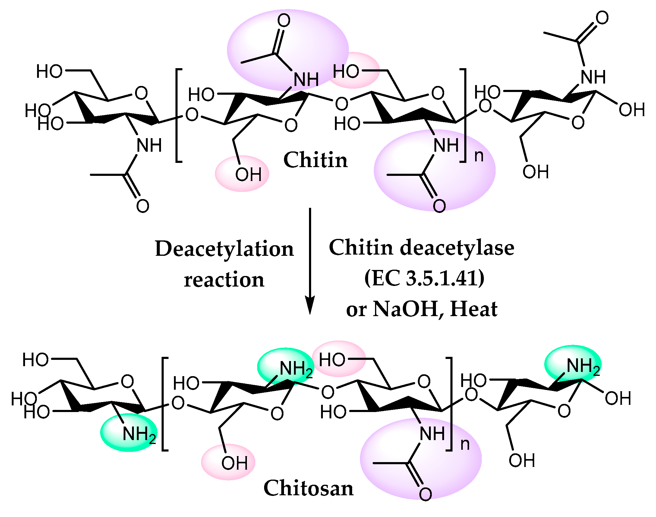 Catalysts 10 00697 g005 Catalysts 10 00697 g005