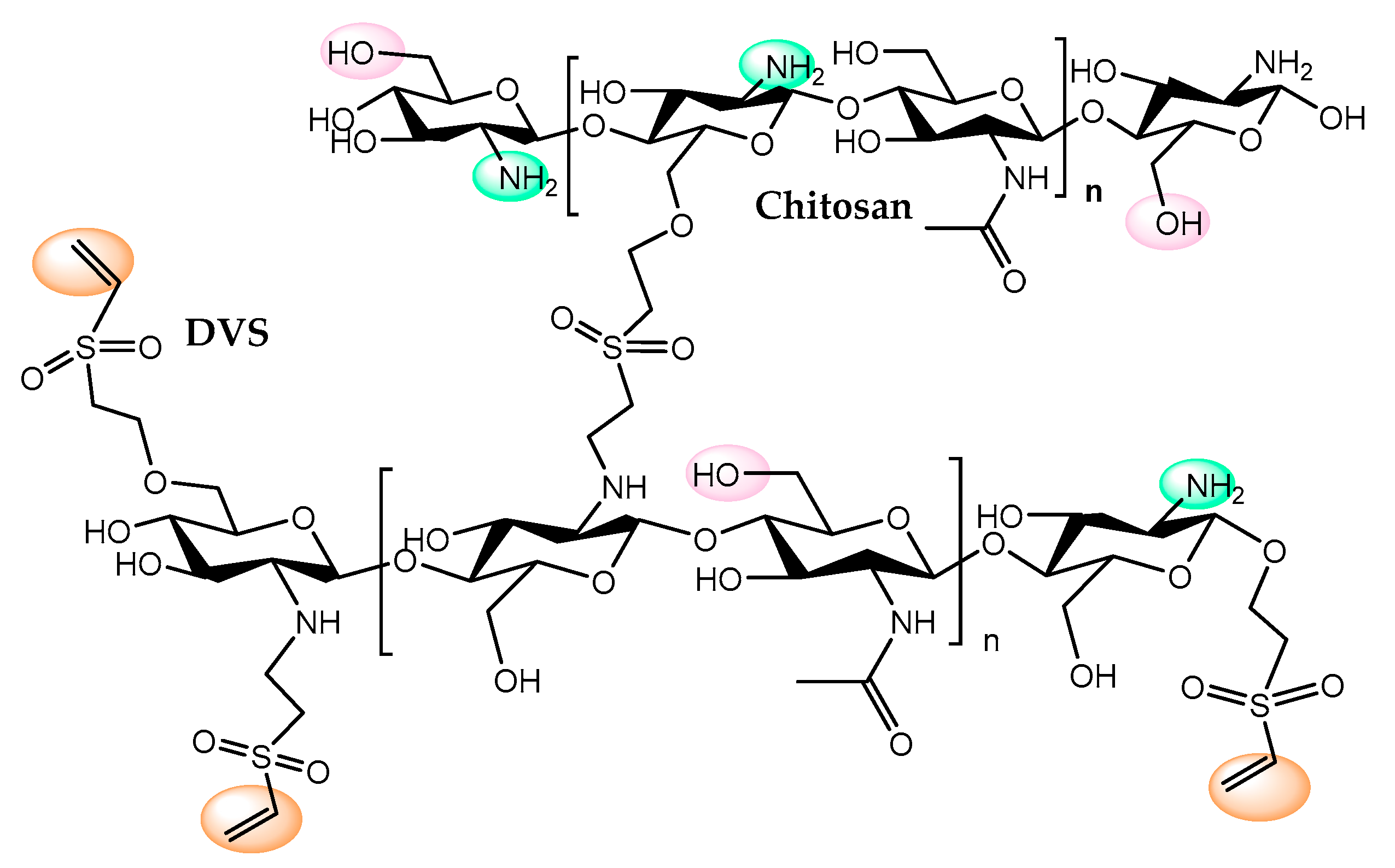 Catalysts 10 00697 g009 Catalysts 10 00697 g009