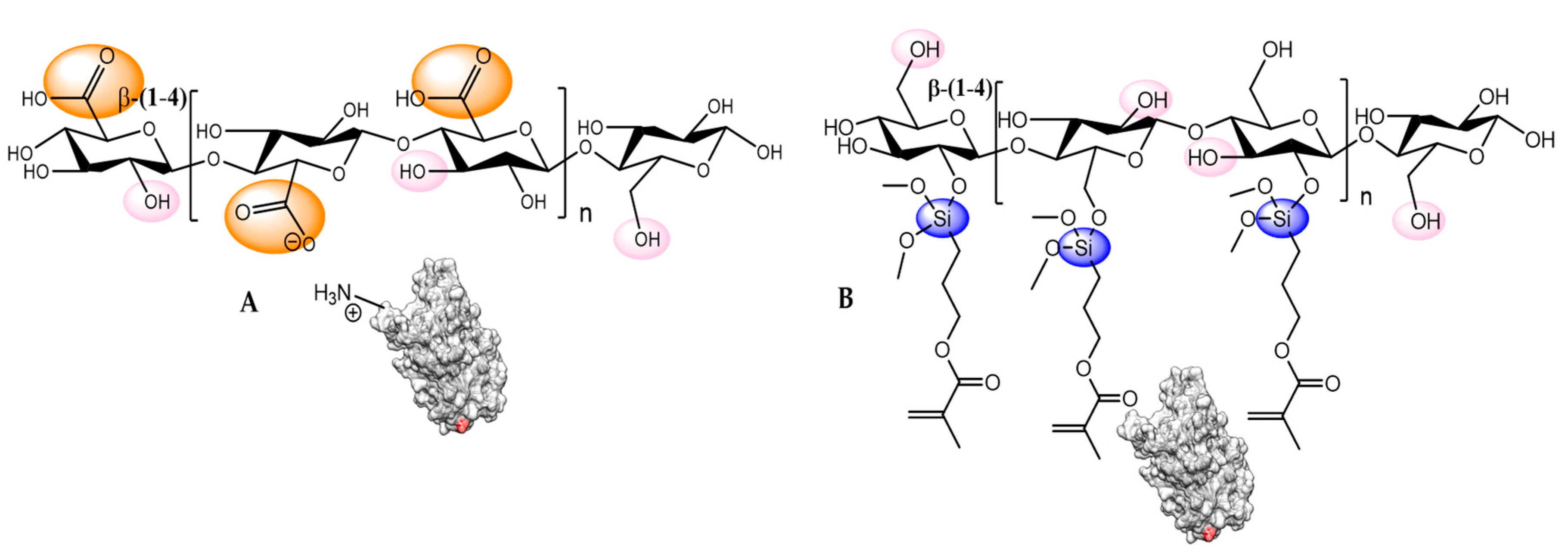 Catalysts 10 00697 g012 Catalysts 10 00697 g012