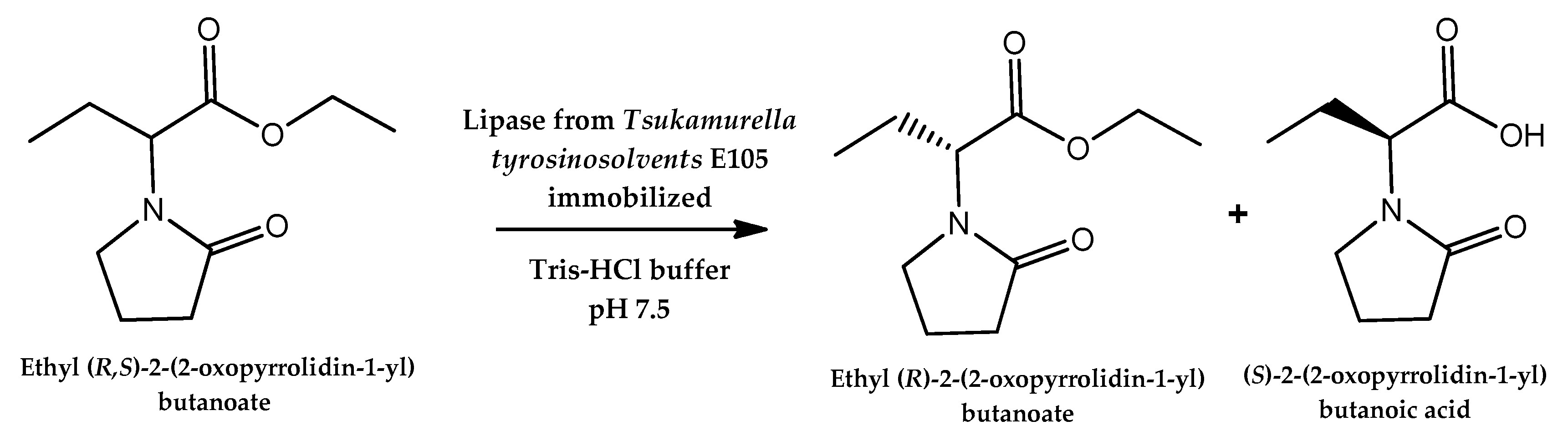 Catalysts 10 00697 g019 Catalysts 10 00697 g019