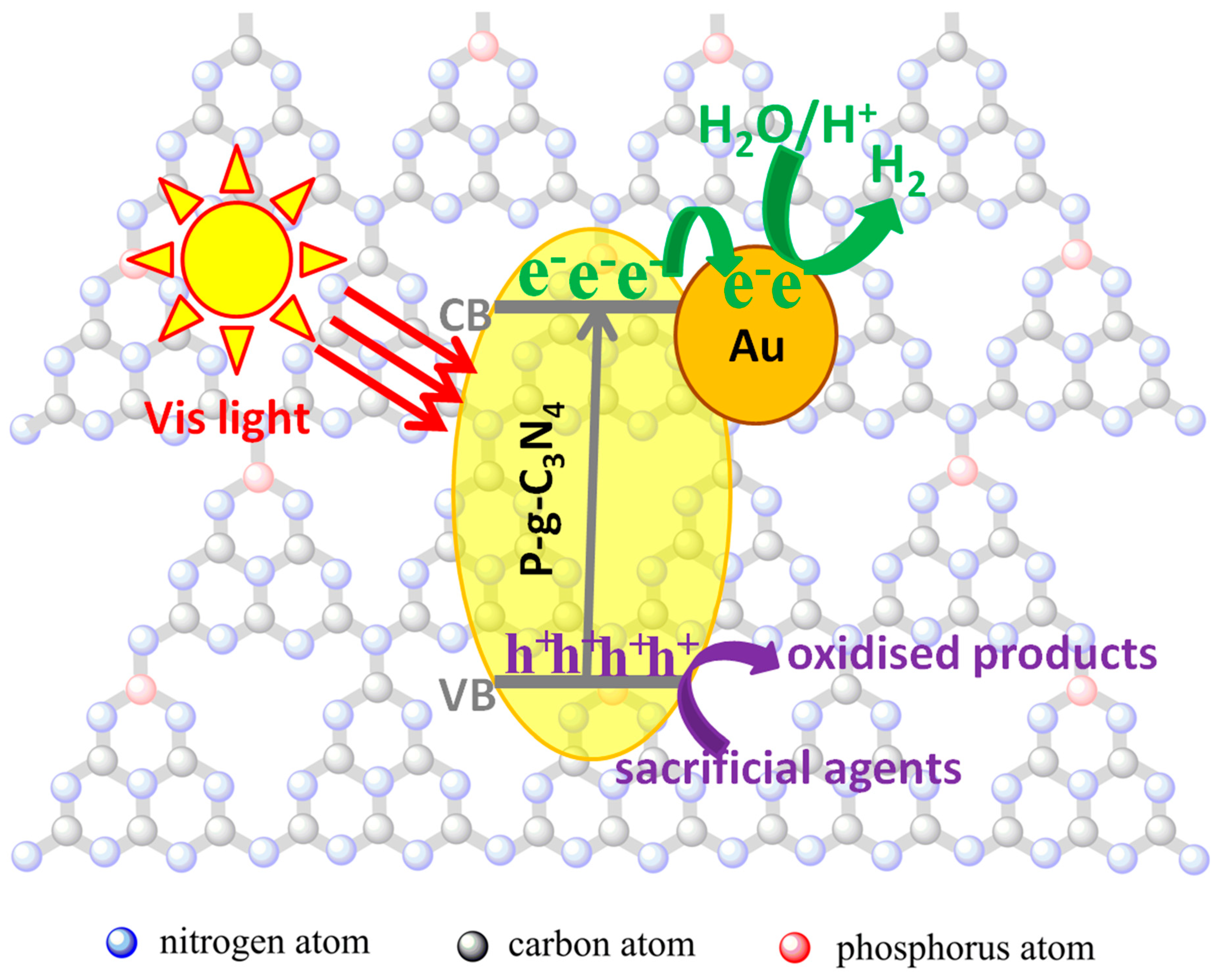 Catalysts 10 00701 g008