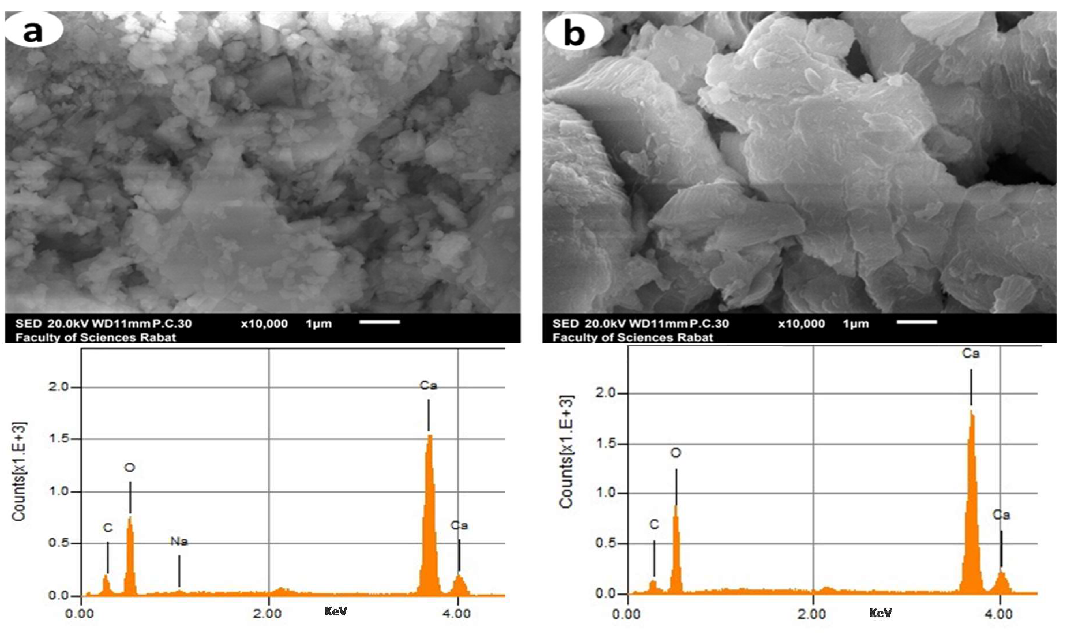 Catalysts 10 00703 g004