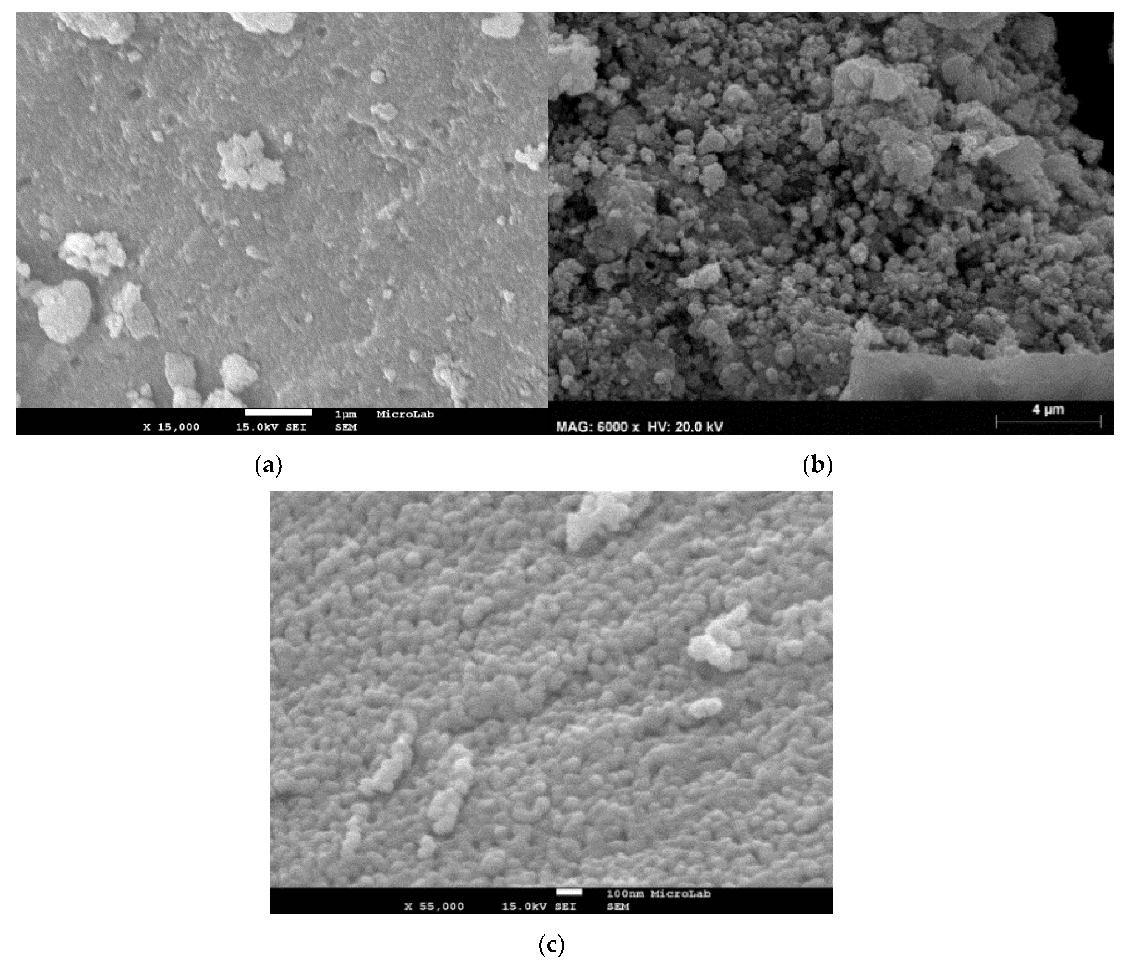 Catalysts 10 00704 g001 Catalysts 10 00704 g001