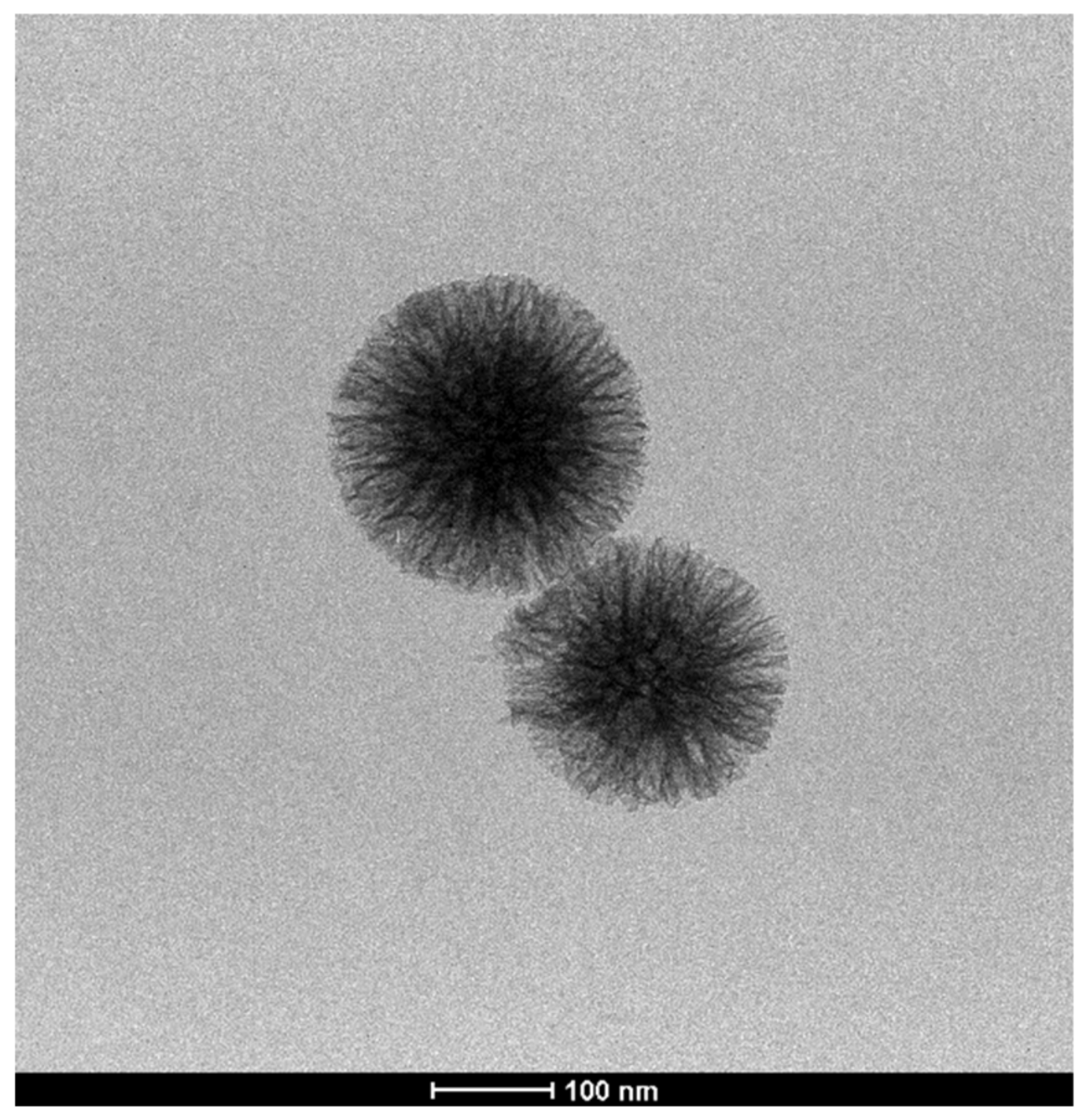 Catalysts 10 00706 g007 Catalysts 10 00706 g007