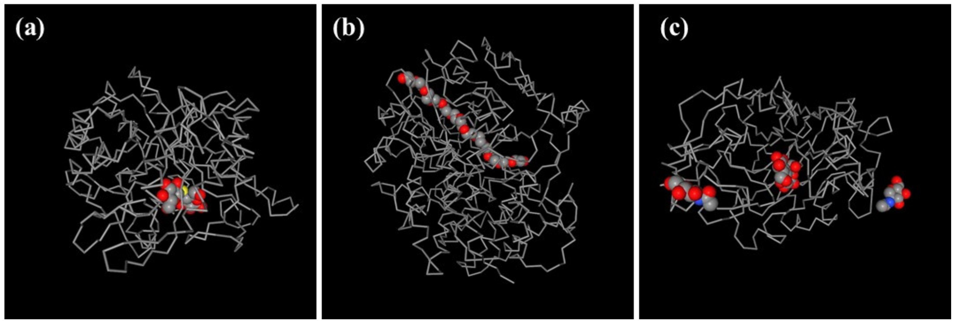 Catalysts 10 00706 g010 Catalysts 10 00706 g010