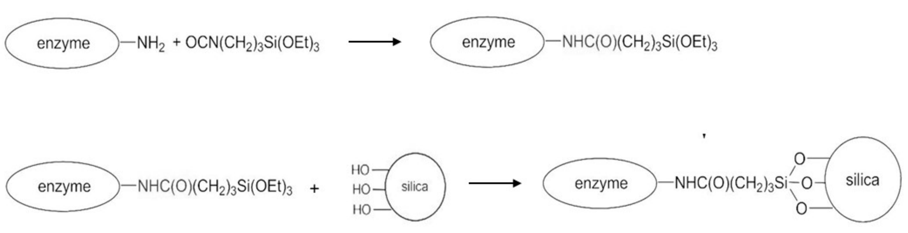 Catalysts 10 00706 sch003 Catalysts 10 00706 sch003
